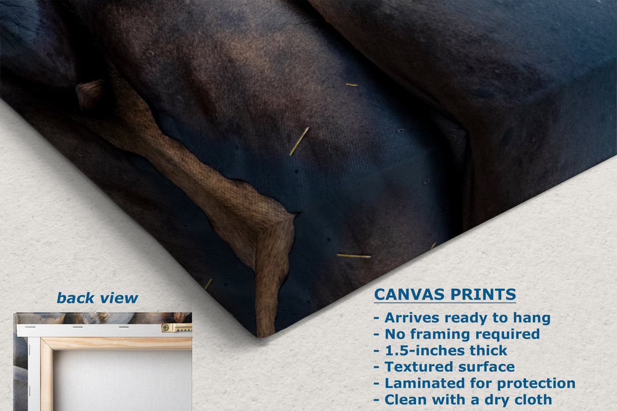 A close-up of a canvas print showing its textured surface and folded edge, with text overlays detailing product features such as 'CANVAS PRINTS' and a small inset labeled 'back view'.