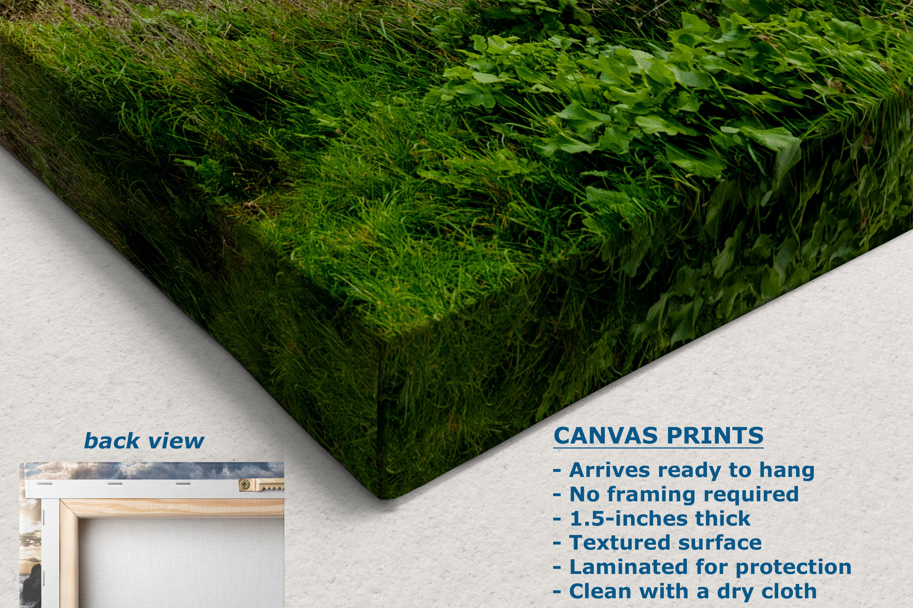 A canvas wall art print showing a close-up of green grass and ivy on a textured surface, displayed at an angle with text callouts describing the print features and a small inset labeled back view.