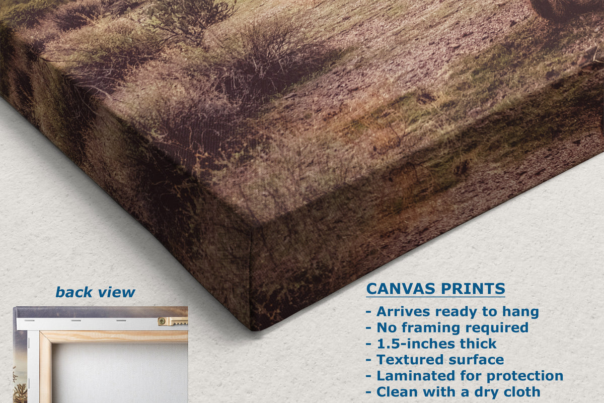A corner view of a canvas wall art print shown at an angle with a natural outdoor landscape scene, including dry grass and brown earth. The image includes text describing the canvas print features and a small inset labeled 'back view' showing a framed mockup.