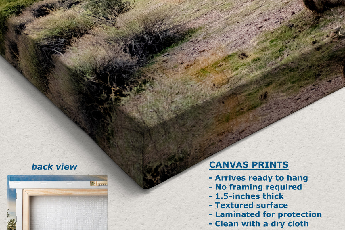 A corner view of a canvas wall art print showing a grassy, rocky outdoor landscape corner, displayed at an angle on a light textured background. Text on the image includes 'CANVAS PRINTS' with features and a small inset labeled 'back view'.