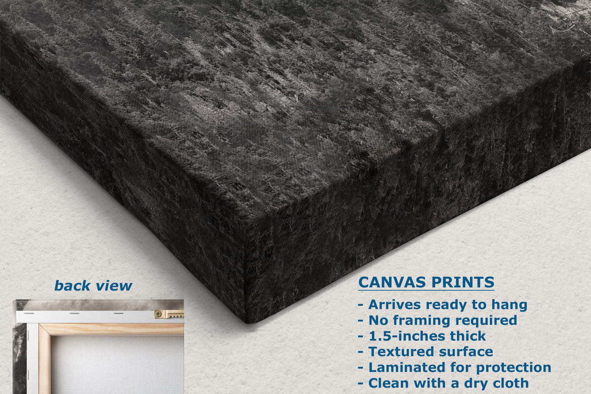 A dark charcoal textured canvas print shown at an angle, with a small inset labeled back view in a frame and text describing canvas print features on a light background.