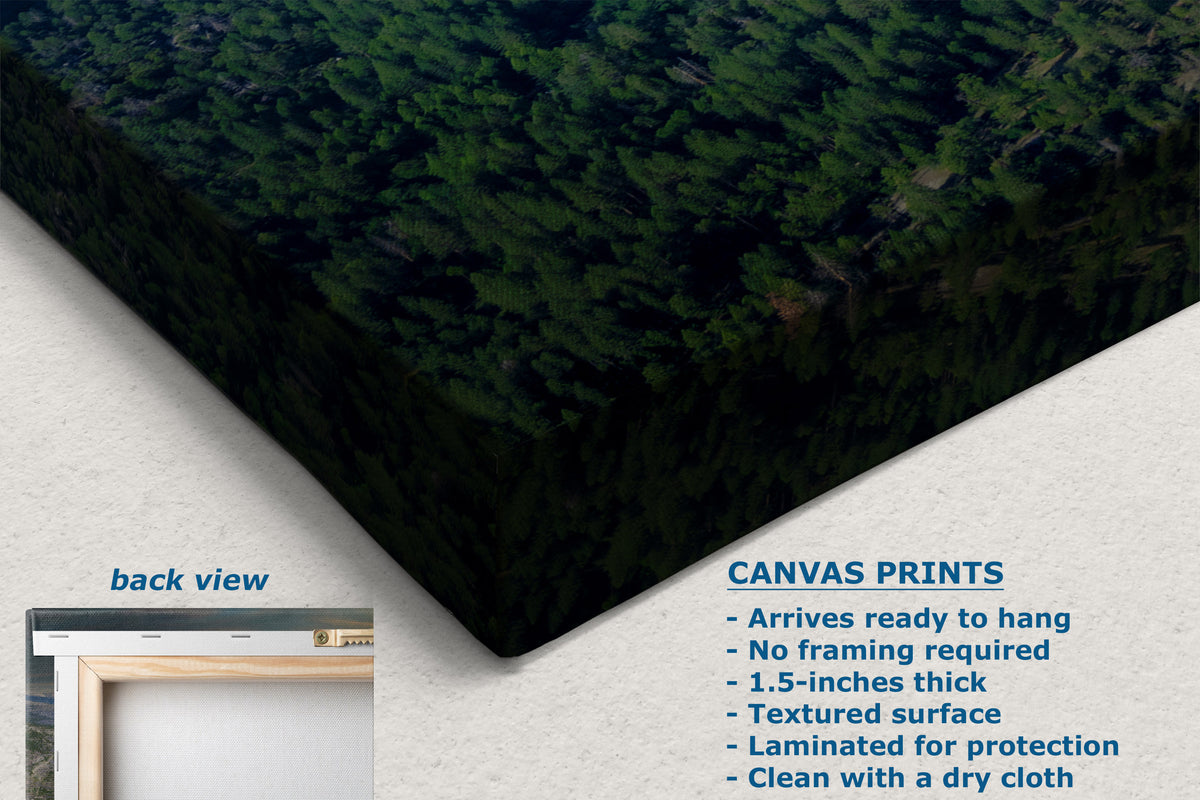 A canvas print product shown at an angle with a forest scene printed on it, plus a small inset labeled back view and text describing canvas print features on a light background.