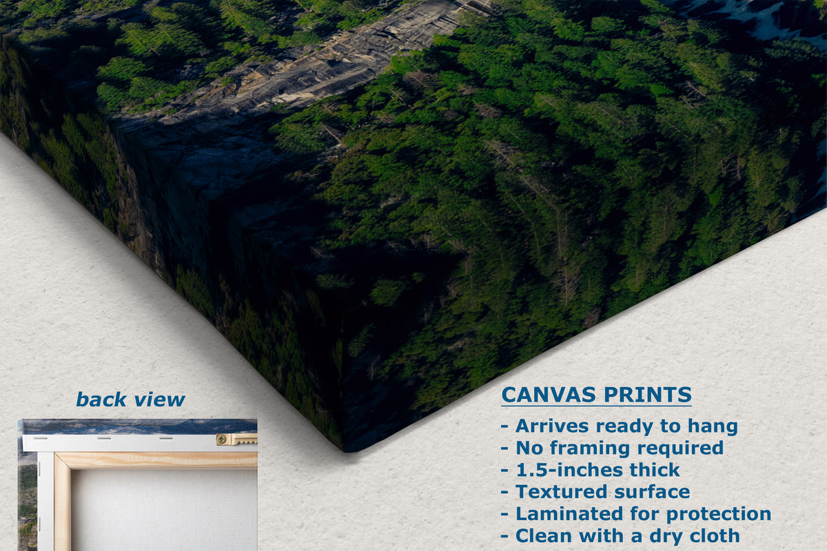 A corner view of a canvas wall art print showing a forested cliffside landscape, displayed at an angle with a small inset labeled back view and product text listing features for canvas prints.