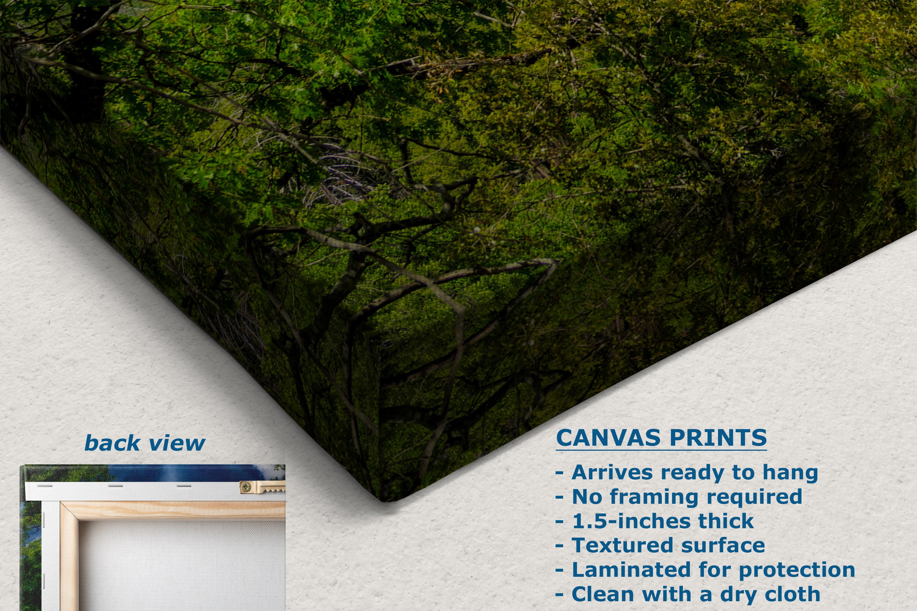 A corner view of a canvas wall art print showing a forest canopy in green and brown tones, displayed at an angle on a white background with text describing the print features and a small inset labeled back view.