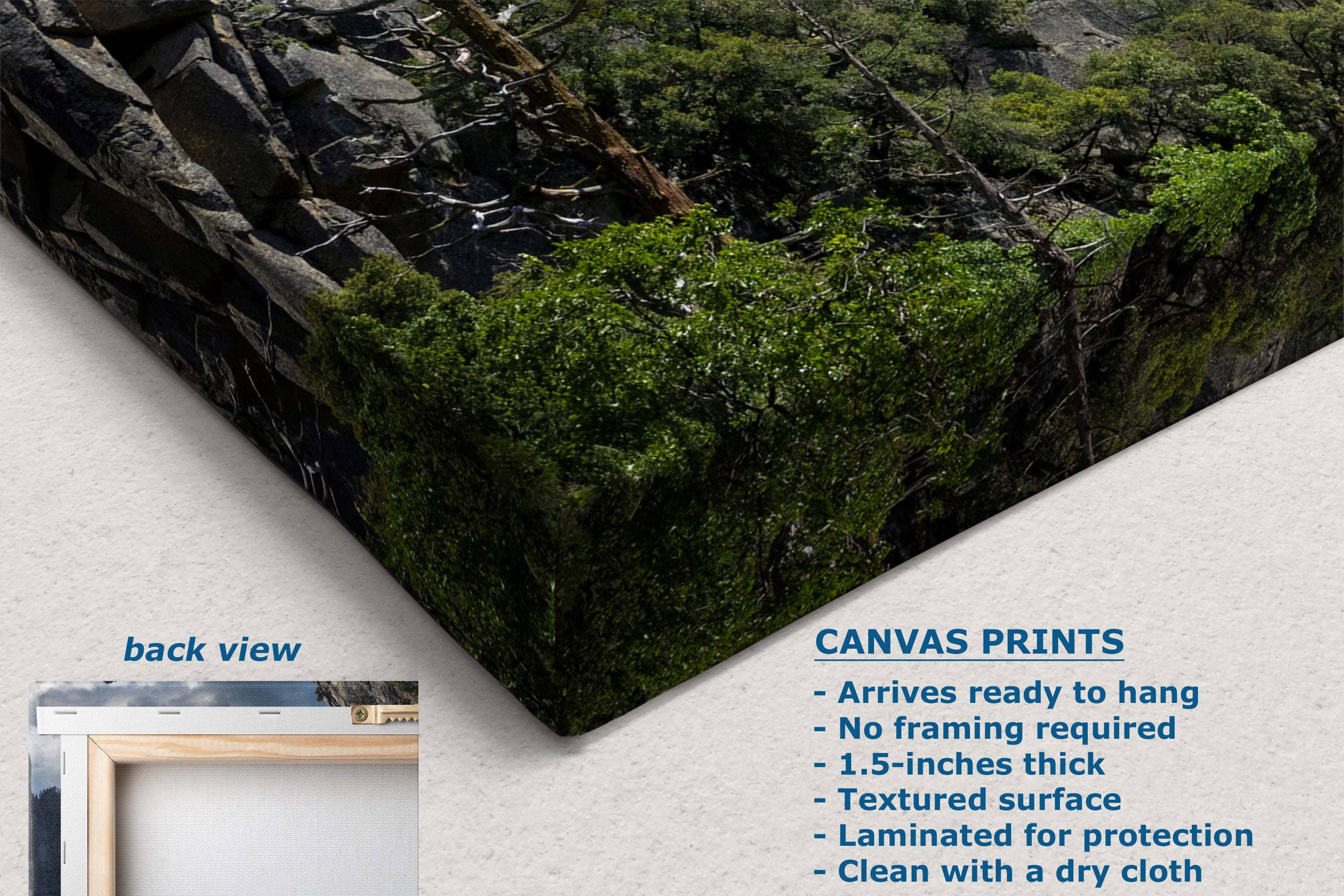 A corner view of a canvas wall art print showing a forest and rocky landscape corner, displayed at an angle on a white background with product text and a small back-view inset. Text reads: 'CANVAS PRINTS' and lists features.