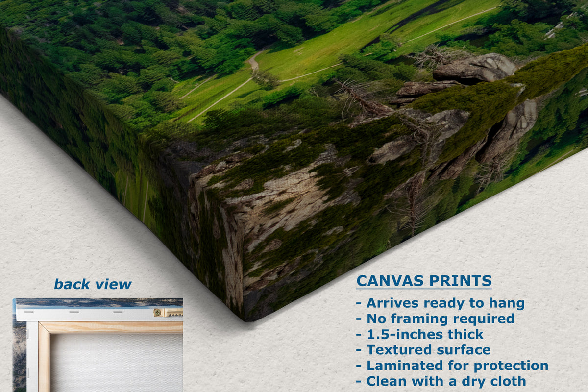 A corneer view of a canvas print of a lush green forested cliffside landscape, shown at an angle with a text overlay detailing product features and a small inset showing the back view with a wooden frame.