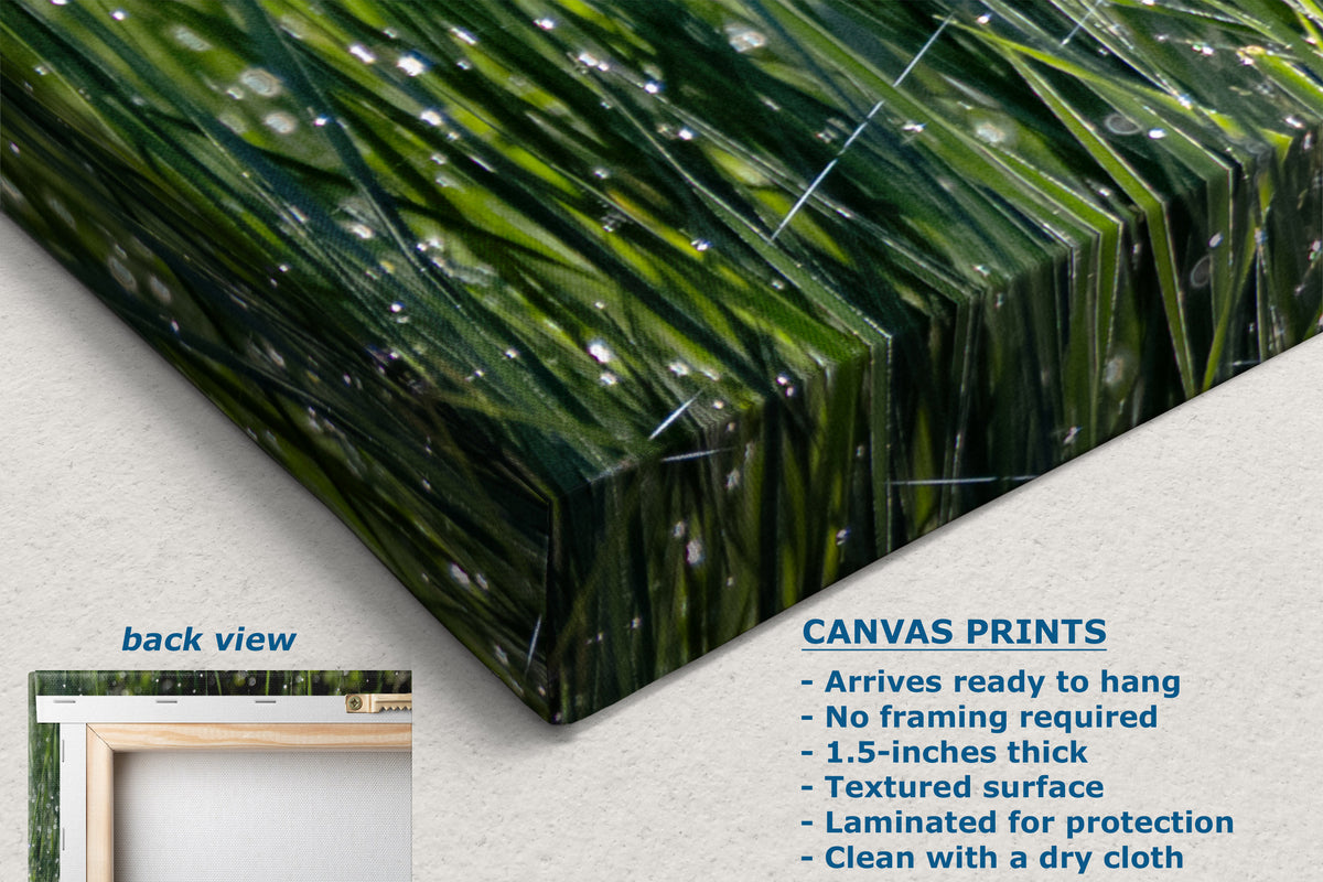 A corner view of a canvas print showing a green grassy or reed-like textured print, with text listing product features and a small inset labeled back view.