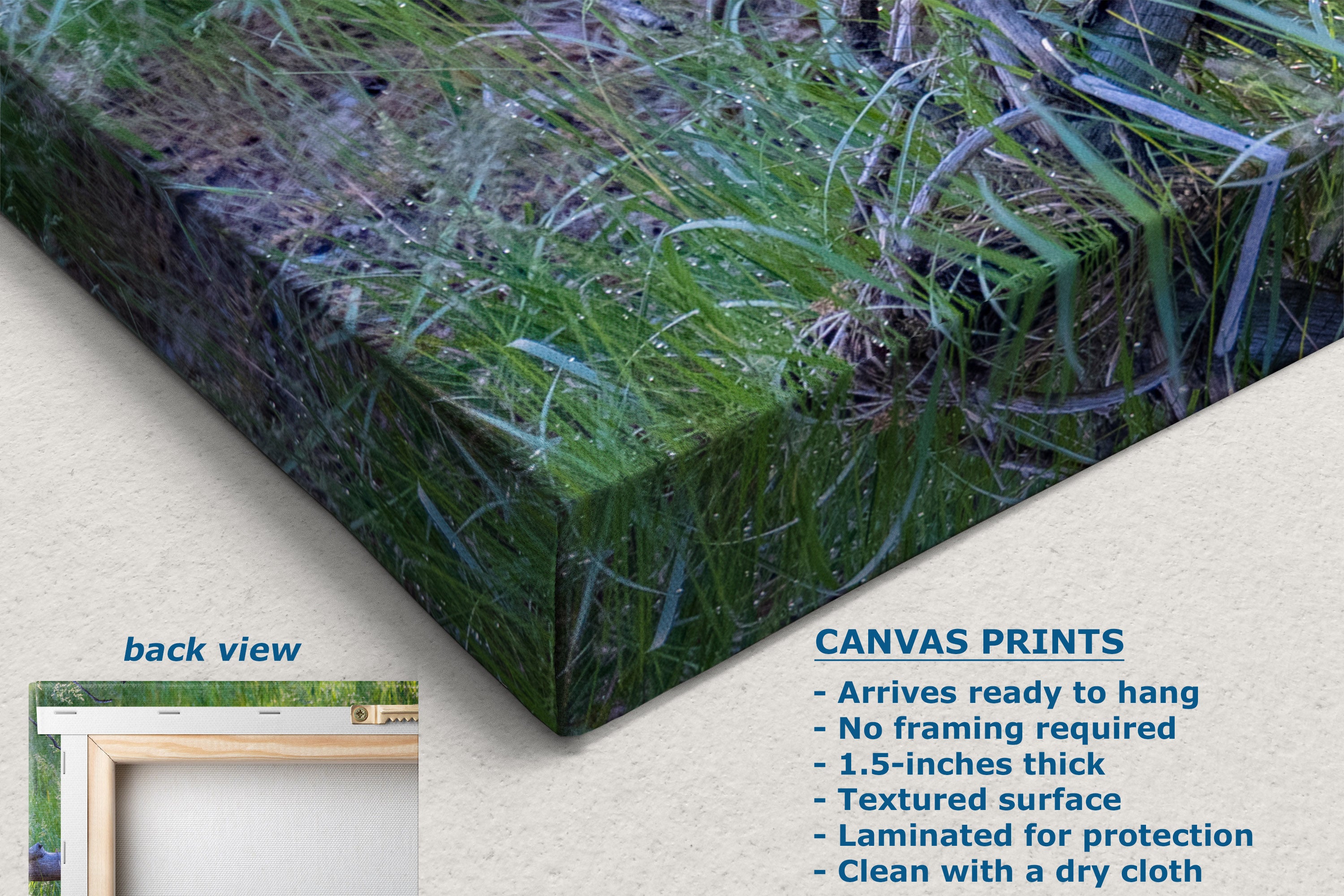 A canvas wall art print showing a close-up grassy landscape with blue-green blades and brown earth, displayed at an angle with a small inset labeled back view and product text on a light beige background.
