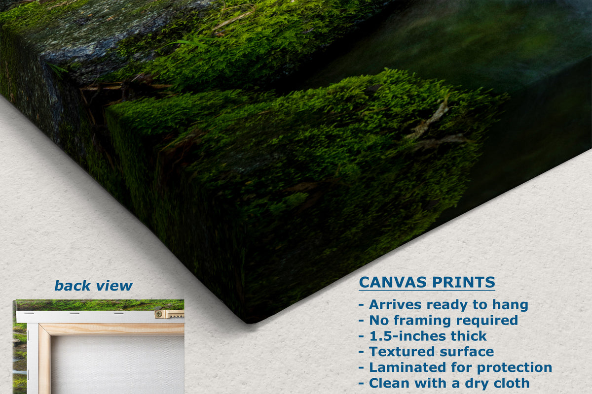 Canvas wall art print showing a mossy green cliffside or waterfall edge, displayed at an angle with a small inset labeled back view and product text describing canvas print features.
