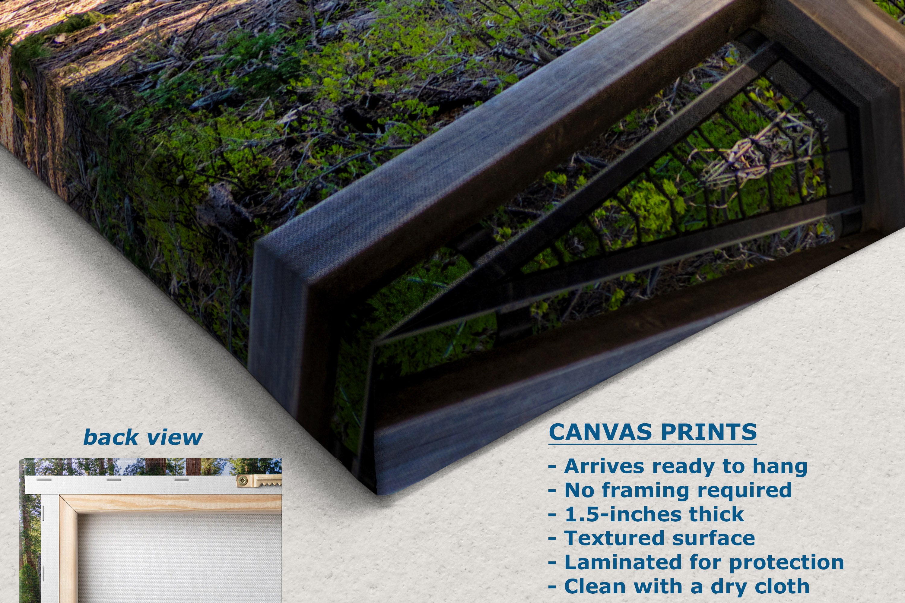 Canvas wall art print showing a close-up of a mossy tree trunk and dark wooden beams, presented on a light background with text describing the print features and a small back view inset.