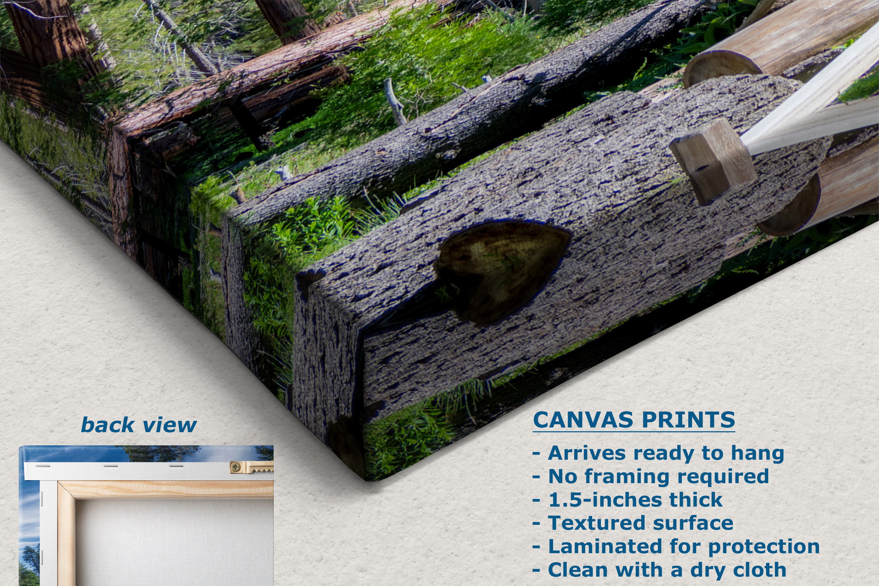 Canvas wall art print showing a close-up outdoor scene of weathered wooden beams and green moss, displayed at an angle with text describing product features and a small inset labeled back view.