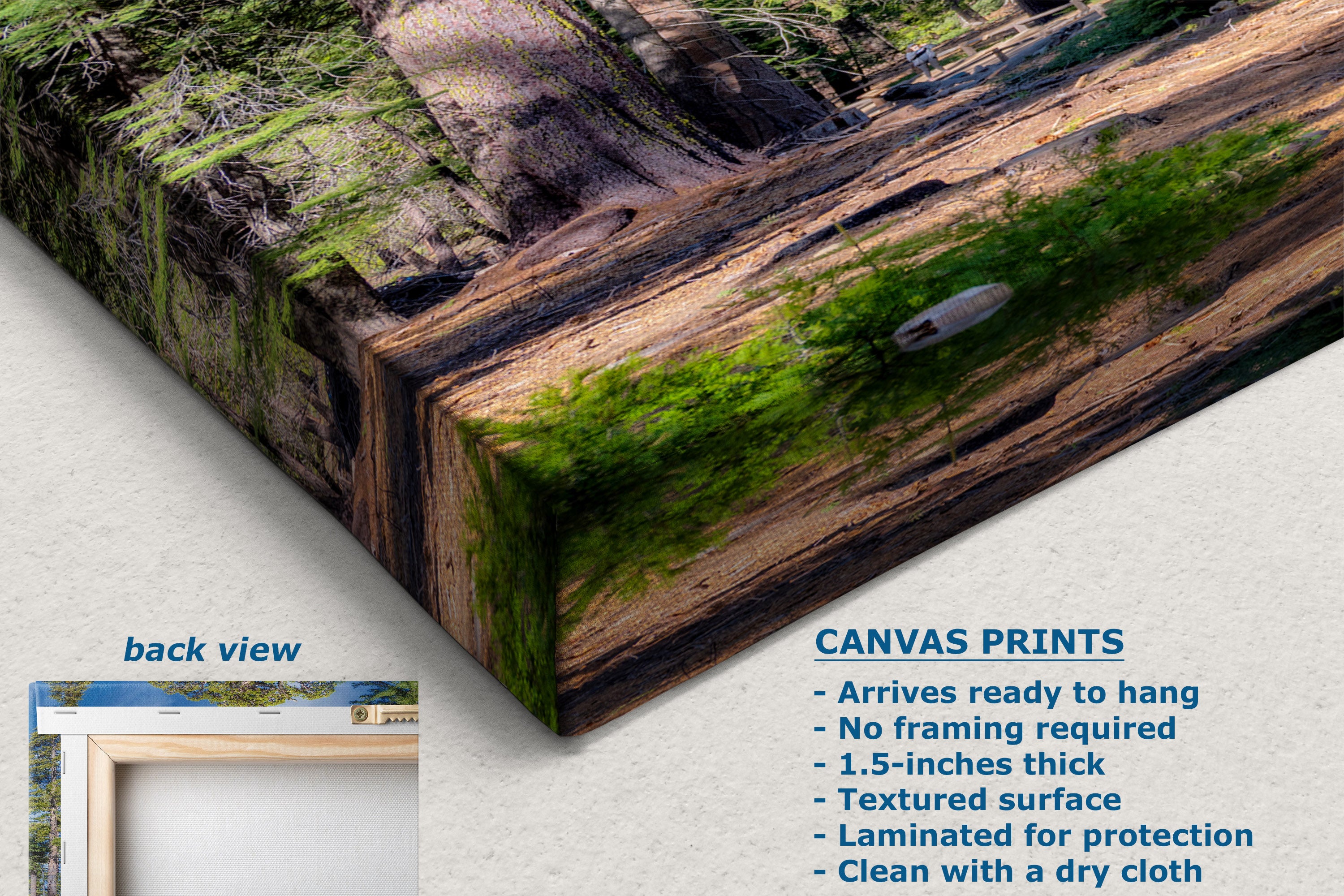 A canvas print product mockup showing a forest scene wrapped around a wooden block, with a small boat on the print. The image includes a text callout describing canvas print features and a small inset labeled back view.