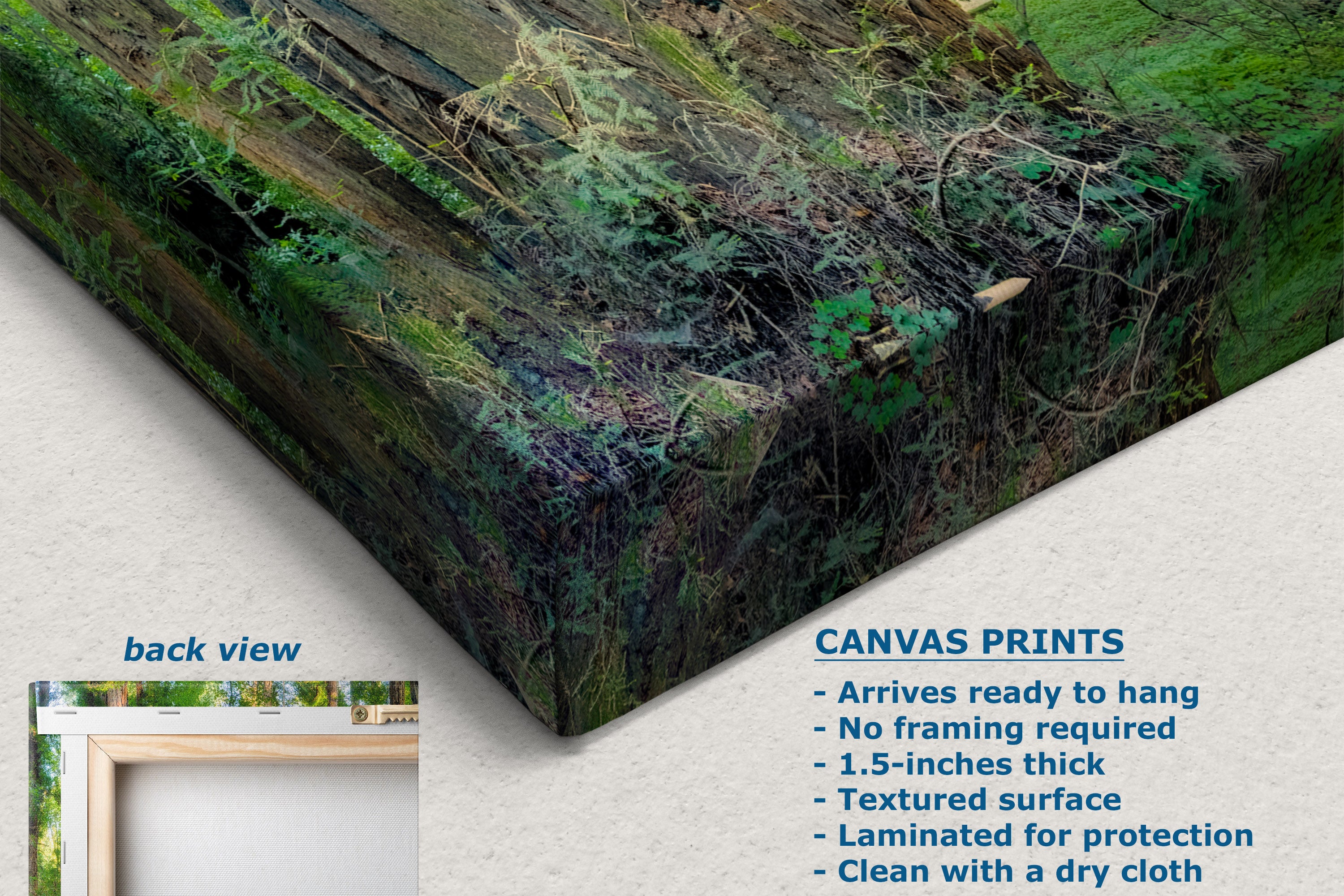 A canvas wall art print showing a forest floor scene with moss, ferns, and tree roots, displayed at an angle on a light background. The image includes text describing the canvas print features and a small inset labeled 'back view' showing a framed mockup.