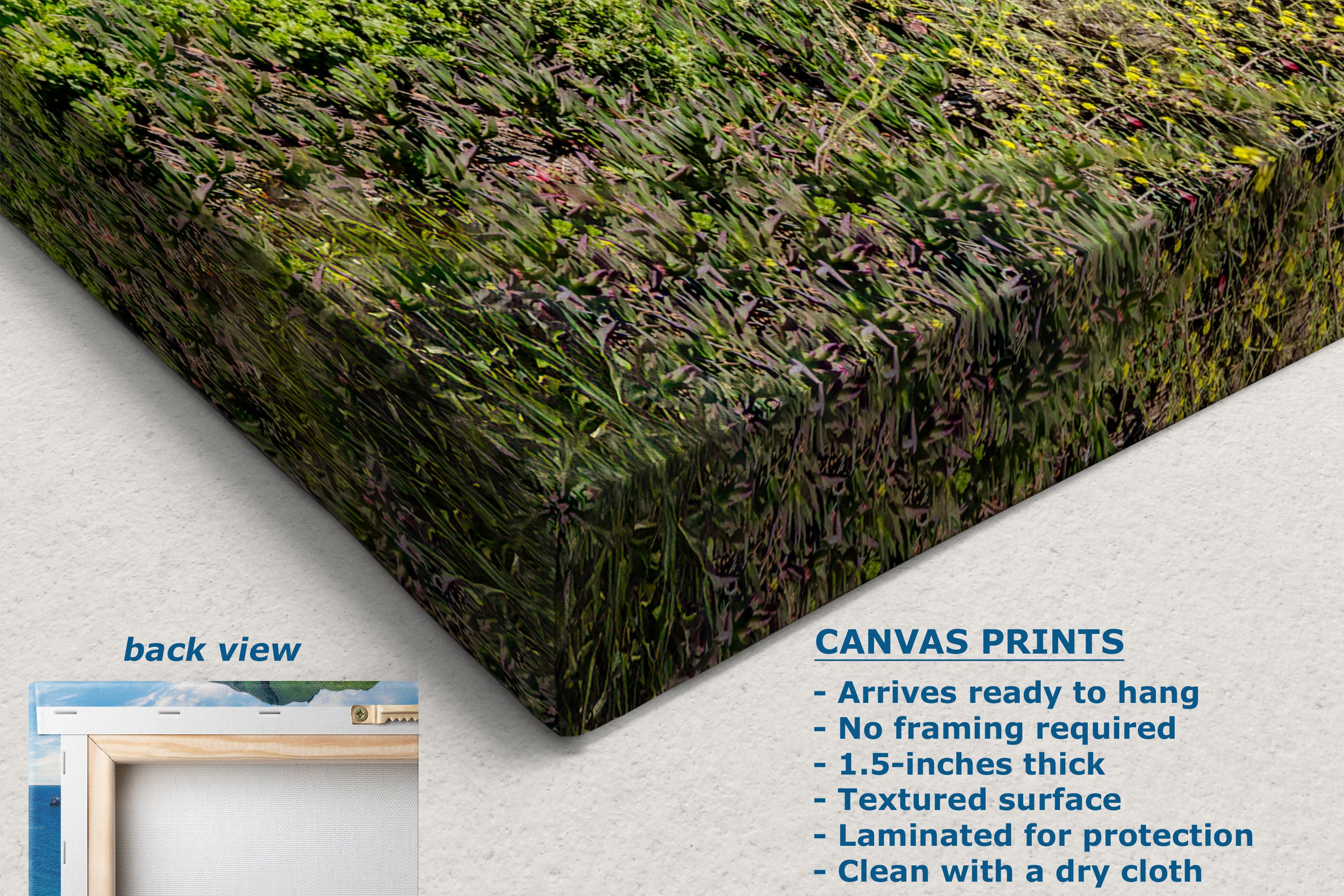 A canvas wall art print shown at an angle, featuring a textured green and brown botanical pattern. The image includes a text overlay detailing product features for canvas prints and a small inset showing the back view with a white mounting strip and wooden frame.