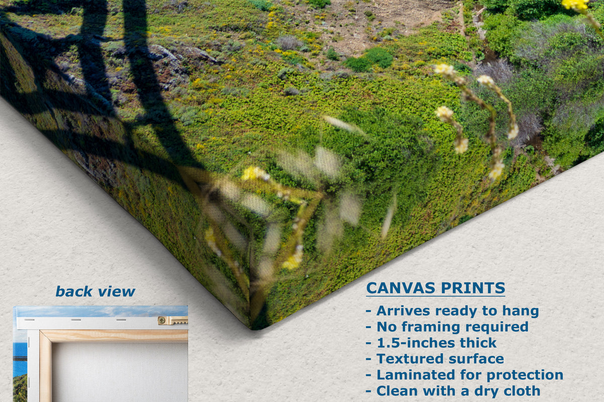 A canvas print product mockup showing a forest landscape with green moss, yellow wildflowers, and tree branches. The image includes text describing the canvas print features and a small inset labeled 'back view' showing a framed mockup.