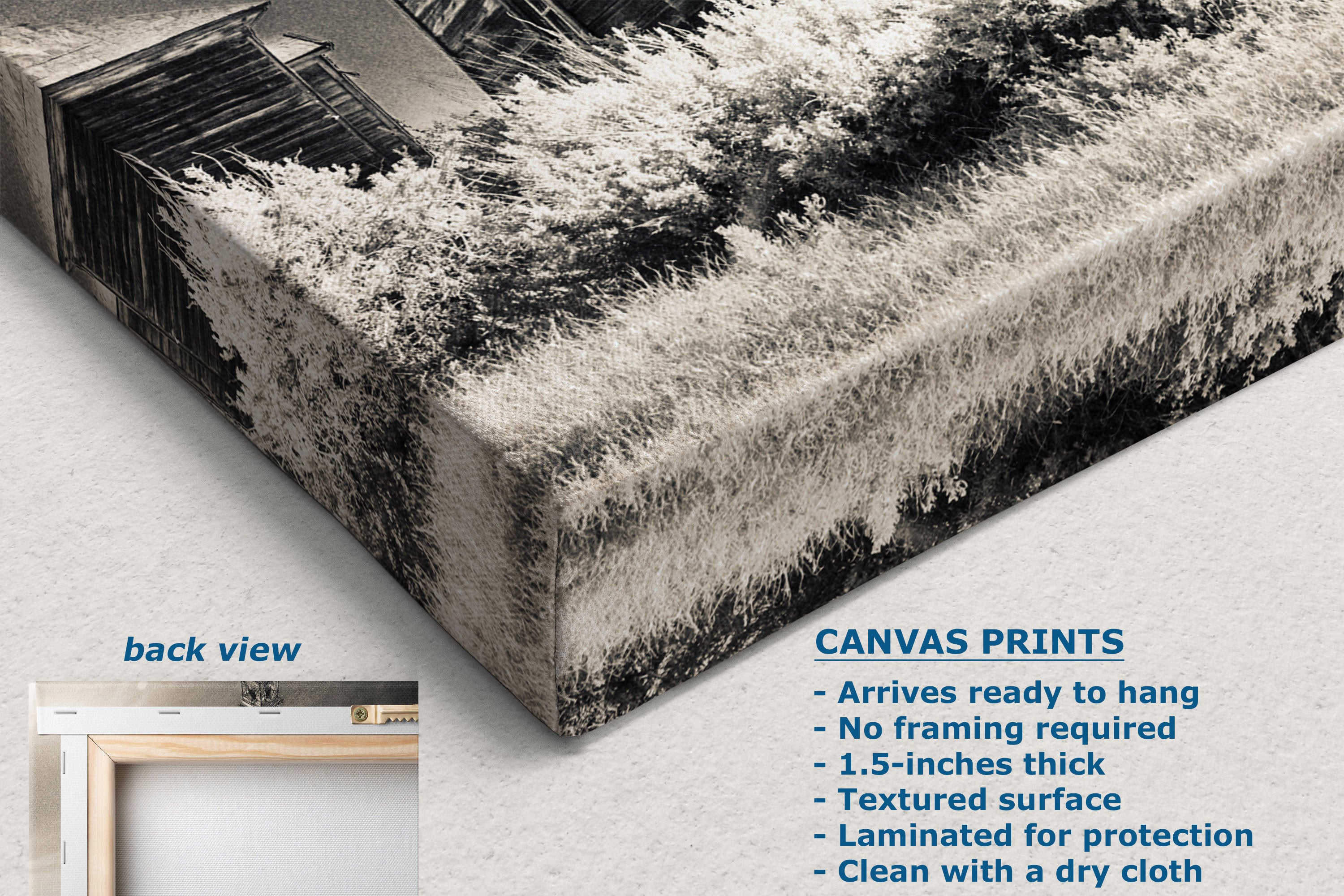 A corner view of a canvas wall art print shown at an angle with a black-and-white landscape scene, including a barn and textured trees. The image includes text describing canvas print features and a small inset labeled back view showing a frameless presentation.