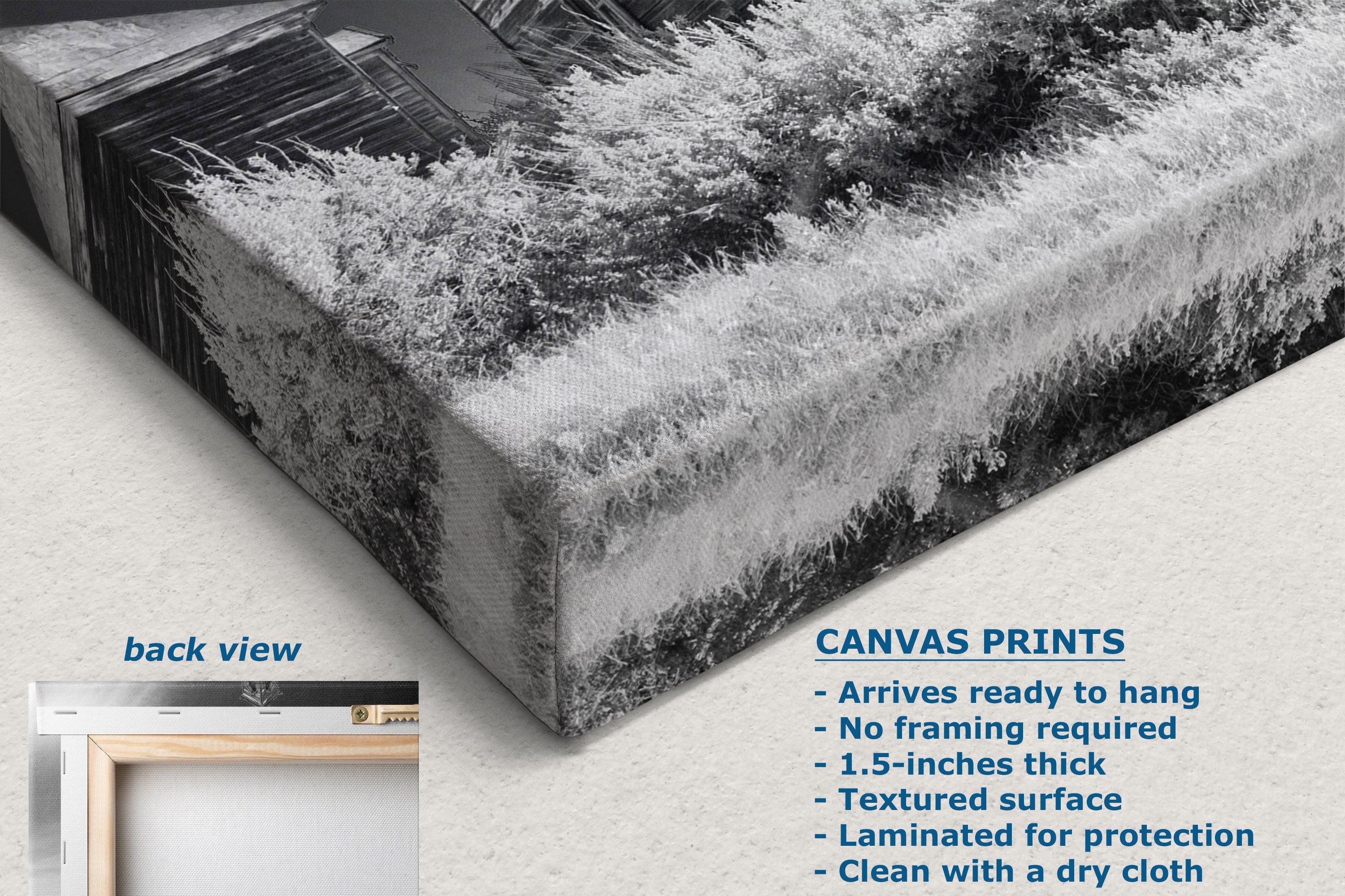 A corner view of a canvas print product shown at an angle with a black-and-white textured winter landscape design. The image includes a small inset labeled 'back view' showing a light wood frame, plus text describing canvas print features such as arriving ready to hang.