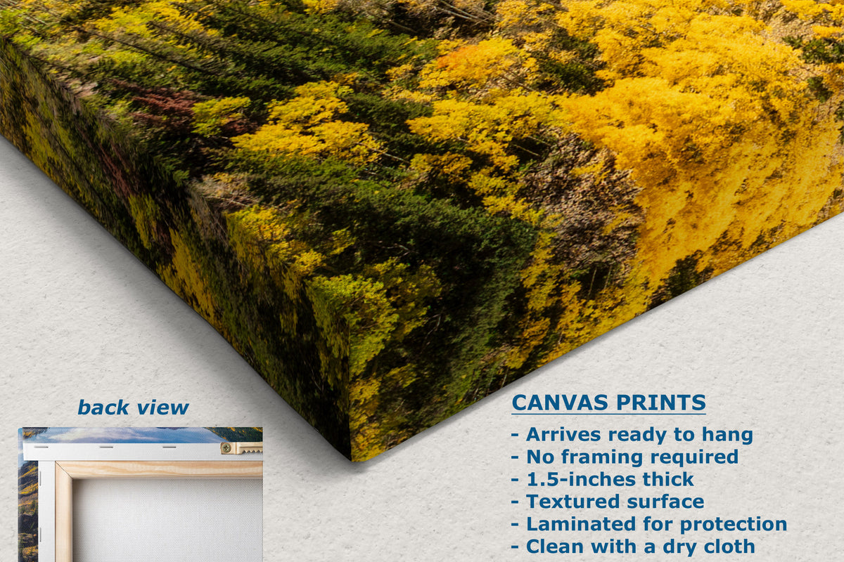 A corner view of a canvas wall art print shown at an angle on a light gray background, featuring a nature scene with bright yellow flowers and green foliage. Text on the image describes the print features.