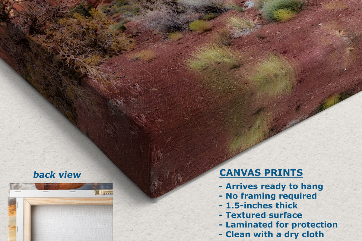 A corner view of a canvas wall art print showing a desert landscape with reddish-brown earth, sparse shrubs, and small trees, photographed at an angle on a light neutral background. Text on the image includes 'back view,' 'CANVAS PRINTS,' and product details.