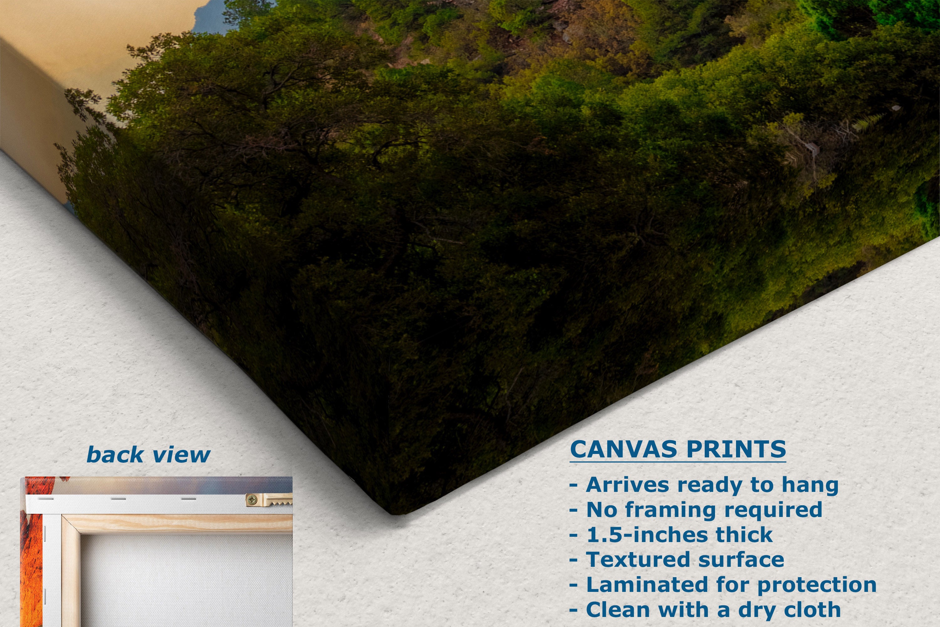 A corner view of a canvas wall art print shown at an angle with a textured off-white background, featuring a forest landscape print. The image includes a small inset labeled 'back view' and text describing canvas print features.