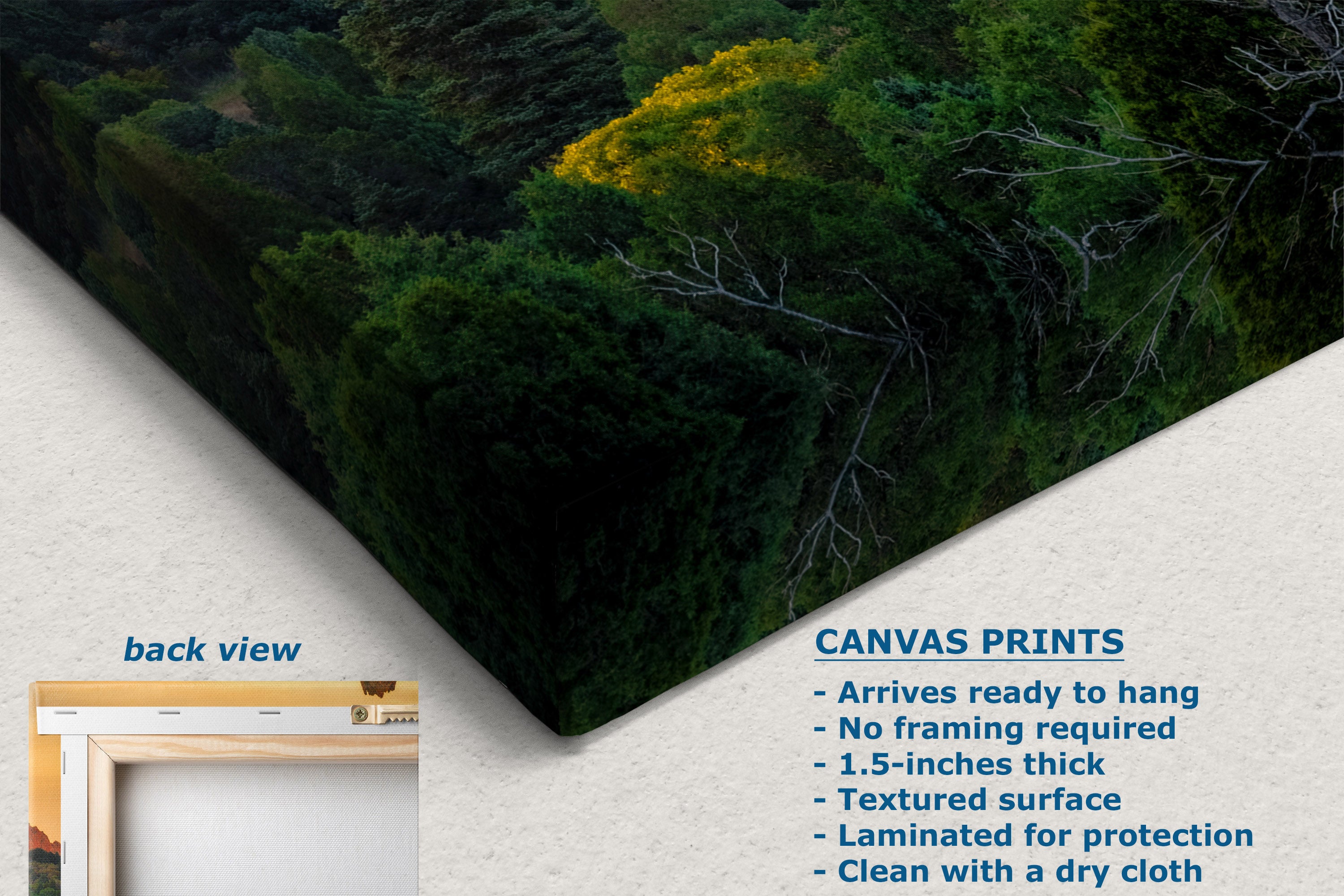 A corner view of a canvas wall art print showing a forest landscape, displayed at an angle on a textured white background with product details and a small back-view inset.
