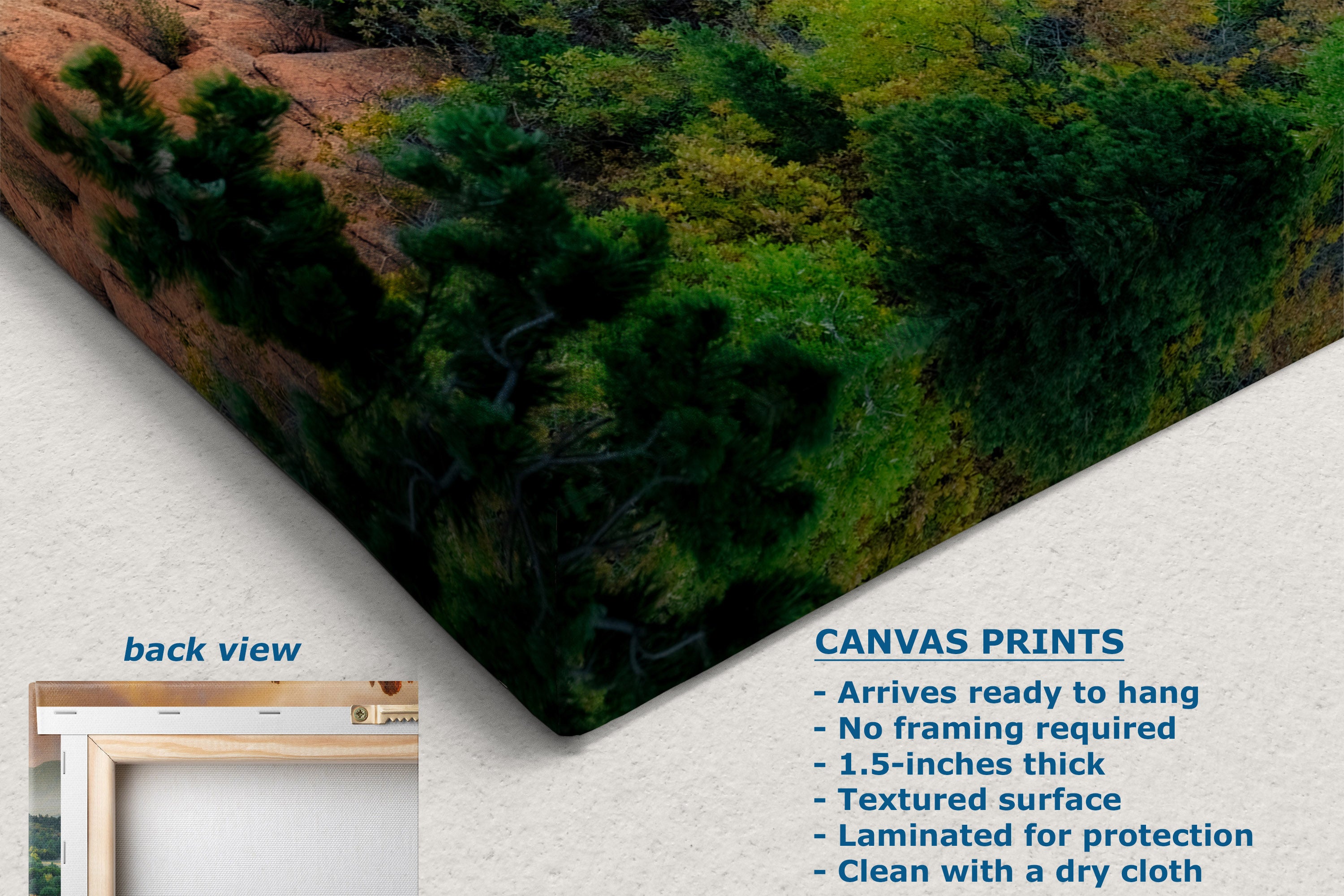 A corner view of a canvas print product mockup showing a forest landscape on a textured canvas, with a small inset labeled back view and text describing canvas print features and dimensions.