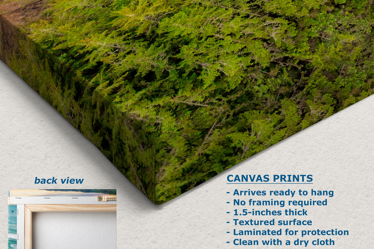 A canvas wall art print showing a close-up of mossy green forest texture, displayed at an angle on a light gray background with product text and a small inset labeled back view.
