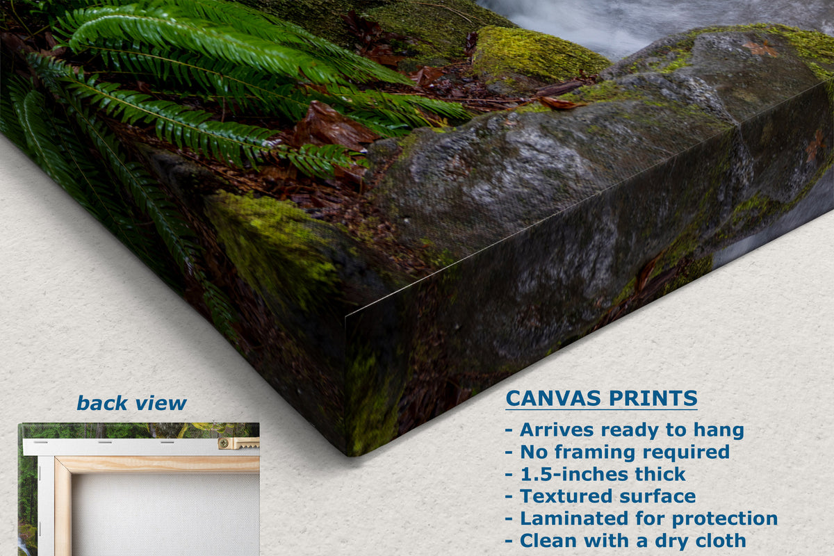 A canvas wall art print showing a close-up forest scene with green ferns and mossy rocks, displayed at an angle on a light neutral background. Text on the image includes 'CANVAS PRINTS' with features and a small inset labeled 'back view' showing a frameless presentation.