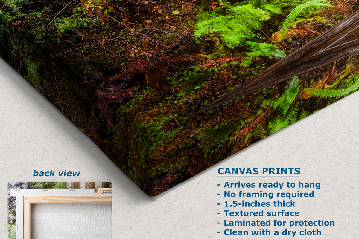 A canvas wall art print showing a close-up of a forest floor with green moss, ferns, and brown pine needles, photographed at an angle on a light textured background. Text on the image includes 'back view' and product details for canvas prints.