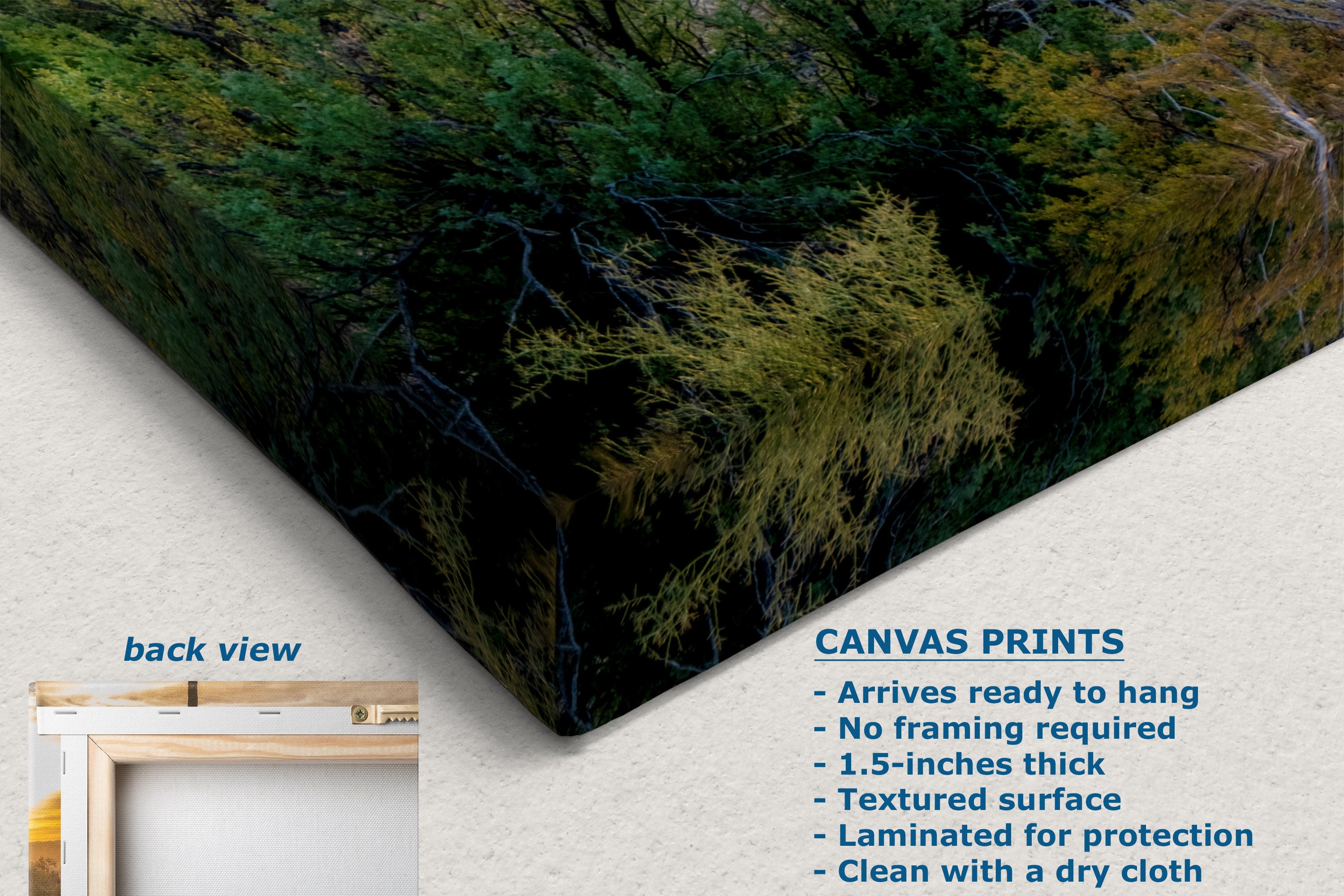 A corner view of a canvas wall art print, displayed at an angle on a light, textured background. Text on the image includes 'CANVAS PRINTS' with product details and a small inset labeled 'back view' showing a framed canvas corner.