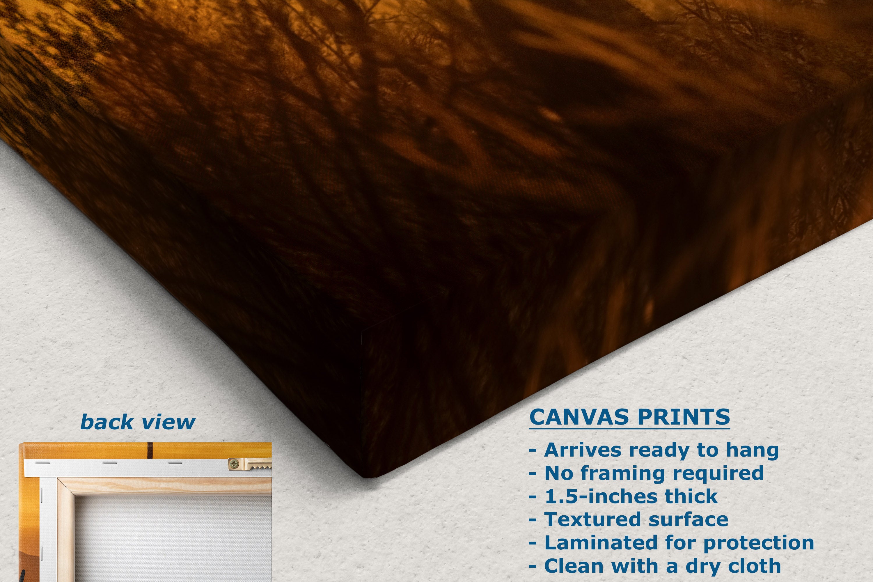 A canvas wall art print shown at an angle on a white textured background, with a small inset labeled 'back view' showing the hanging frame. Blue text on the right lists product details for canvas prints.