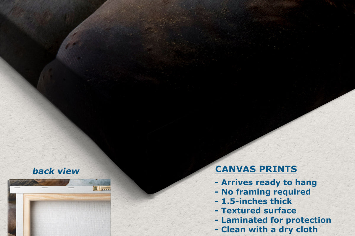 A close-up of a dark textured canvas print showing the back side, with text listing features of canvas prints and a small inset labeled back view showing a framed mockup.