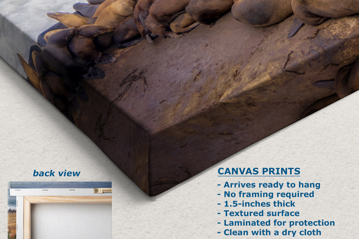 A canvas print product mockup showing a textured print of sea lions on a wrapped canvas, with a small inset labeled 'back view' and text describing canvas print features.