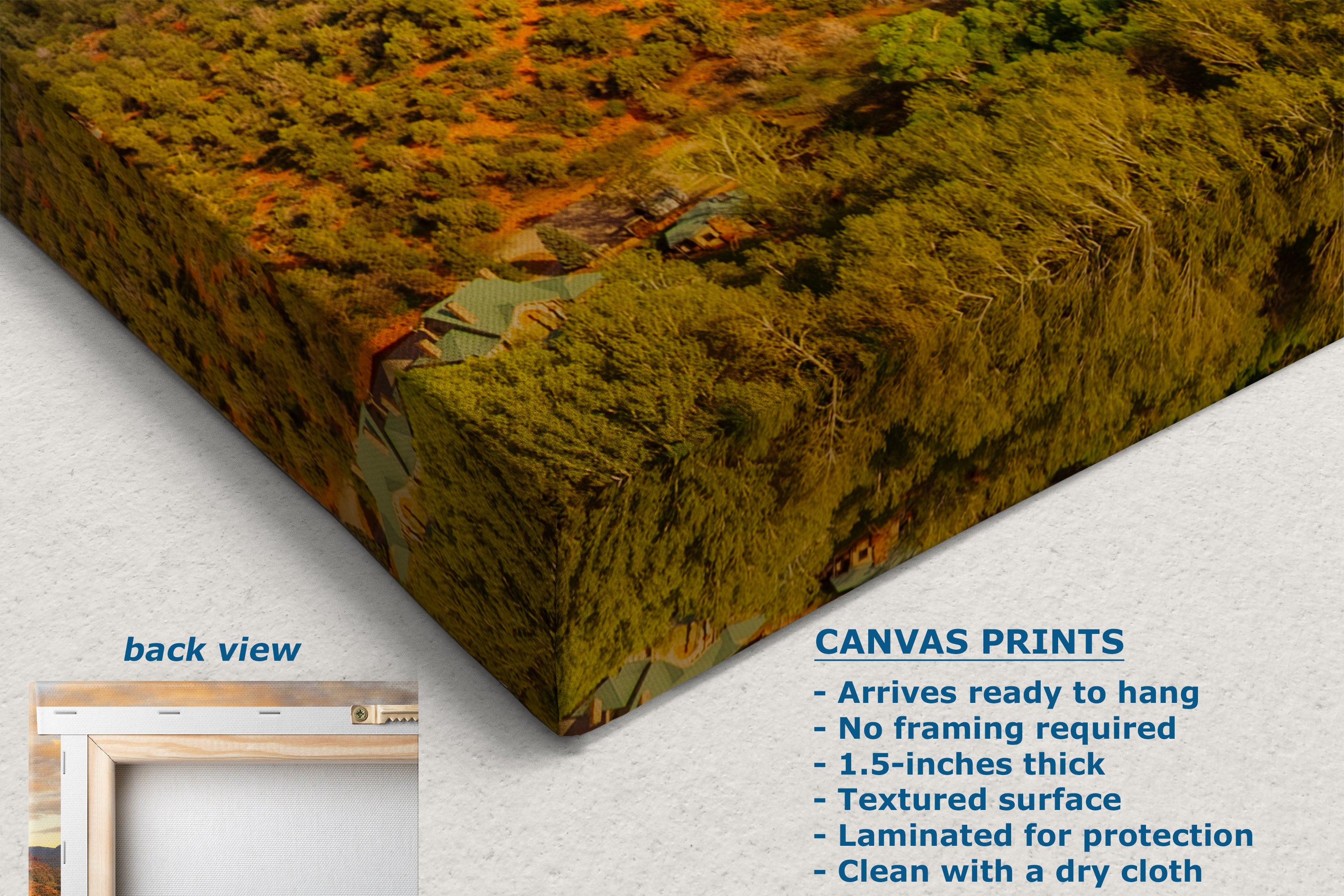 Corner of a canvas wall print shown at an angle on a light gray background, with a small inset labeled 'back view' showing a wooden frame. Text on the right describes the print's features: textured surface, 1.