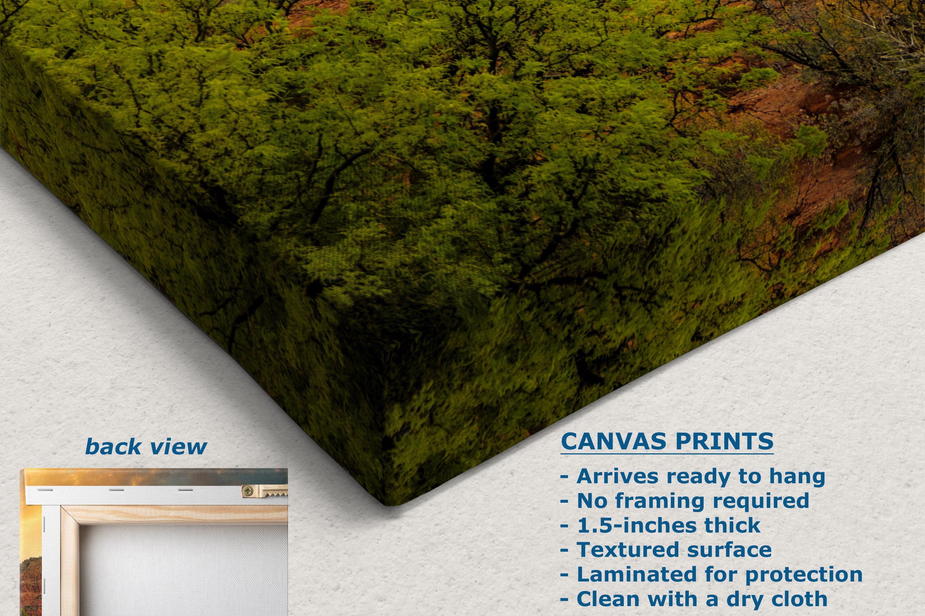 A corner view of a canvas wall art print showing a forest scene, displayed at an angle on a white textured background with text describing the product features and a small inset showing the back view.