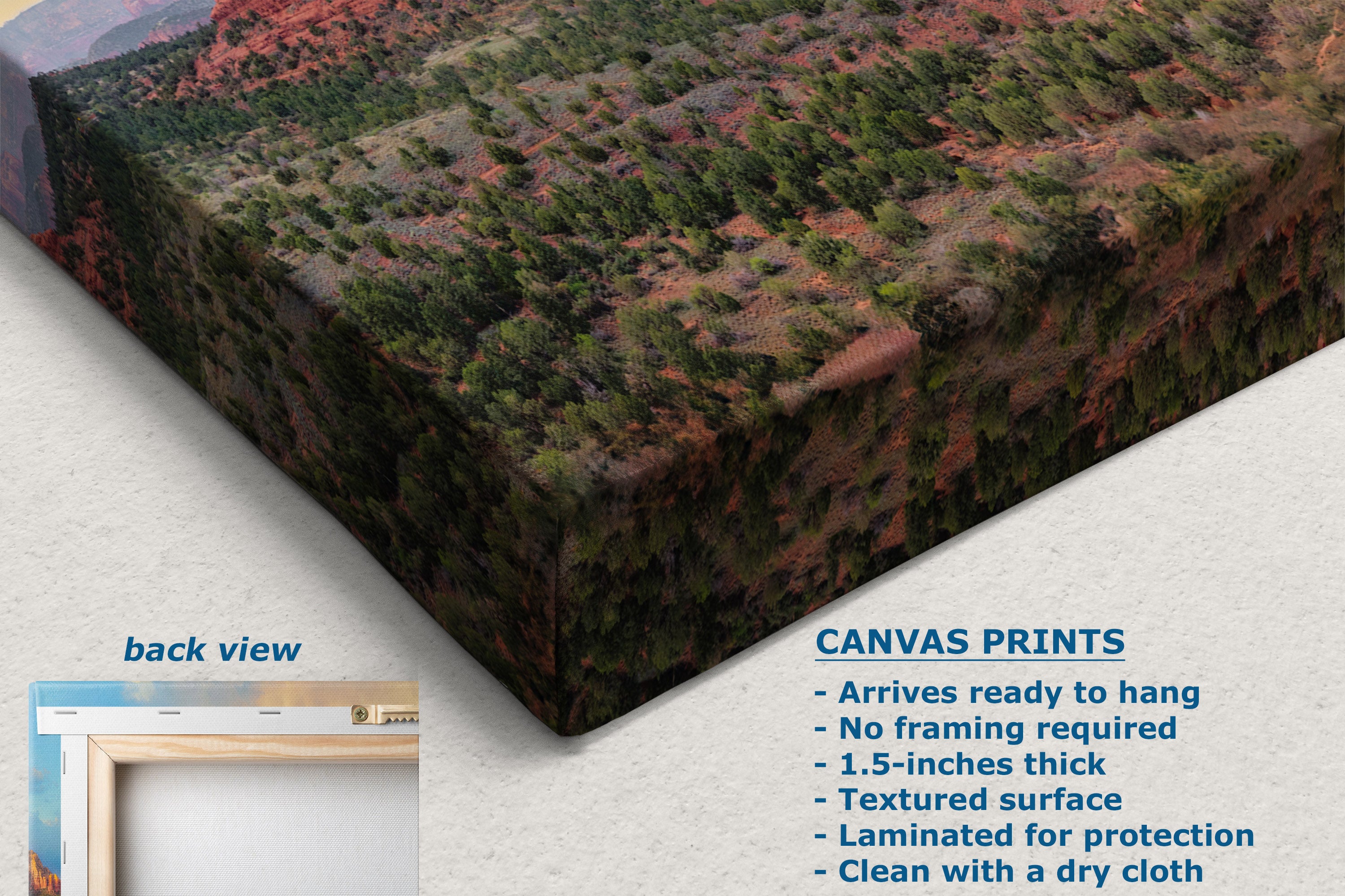 A canvas wall print shown at an angle, displaying a textured landscape print with green trees and reddish-brown hills. The image includes a 'back view' inset showing a white canvas edge, and a text list detailing product features like 'Canvas Prints' and 'Textured surface'.