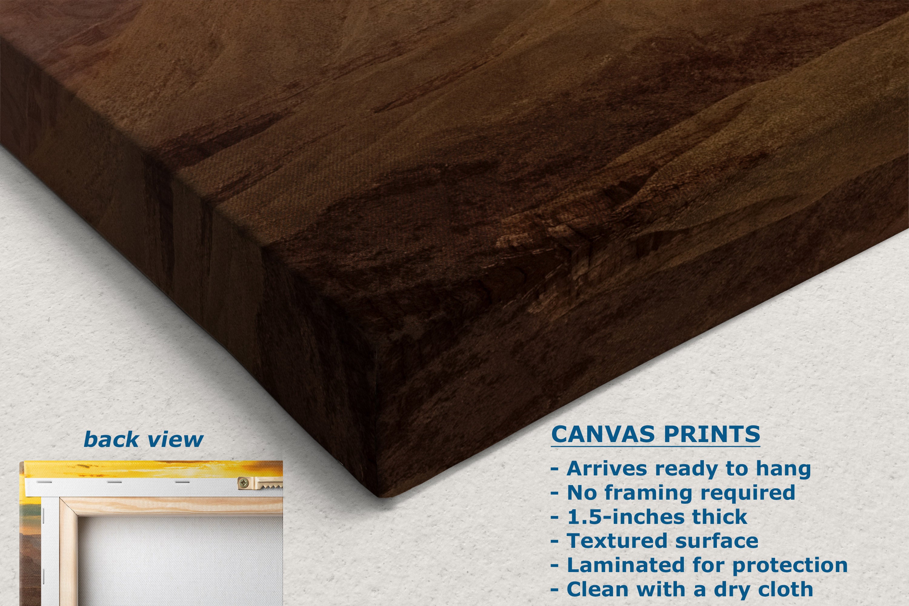 Dark brown canvas wall art showing the corner and textured surface, with text callouts including 'back view' and product details for canvas prints on a light background.