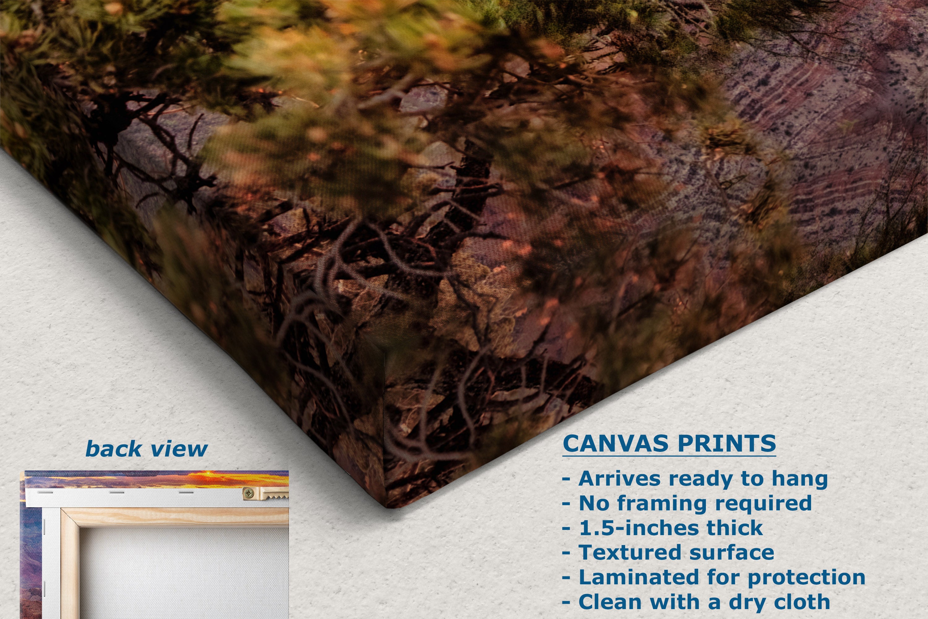 Canvas wall art print shown at an angle on a light wall, with a small inset labeled back view and text describing canvas print features and dimensions.
