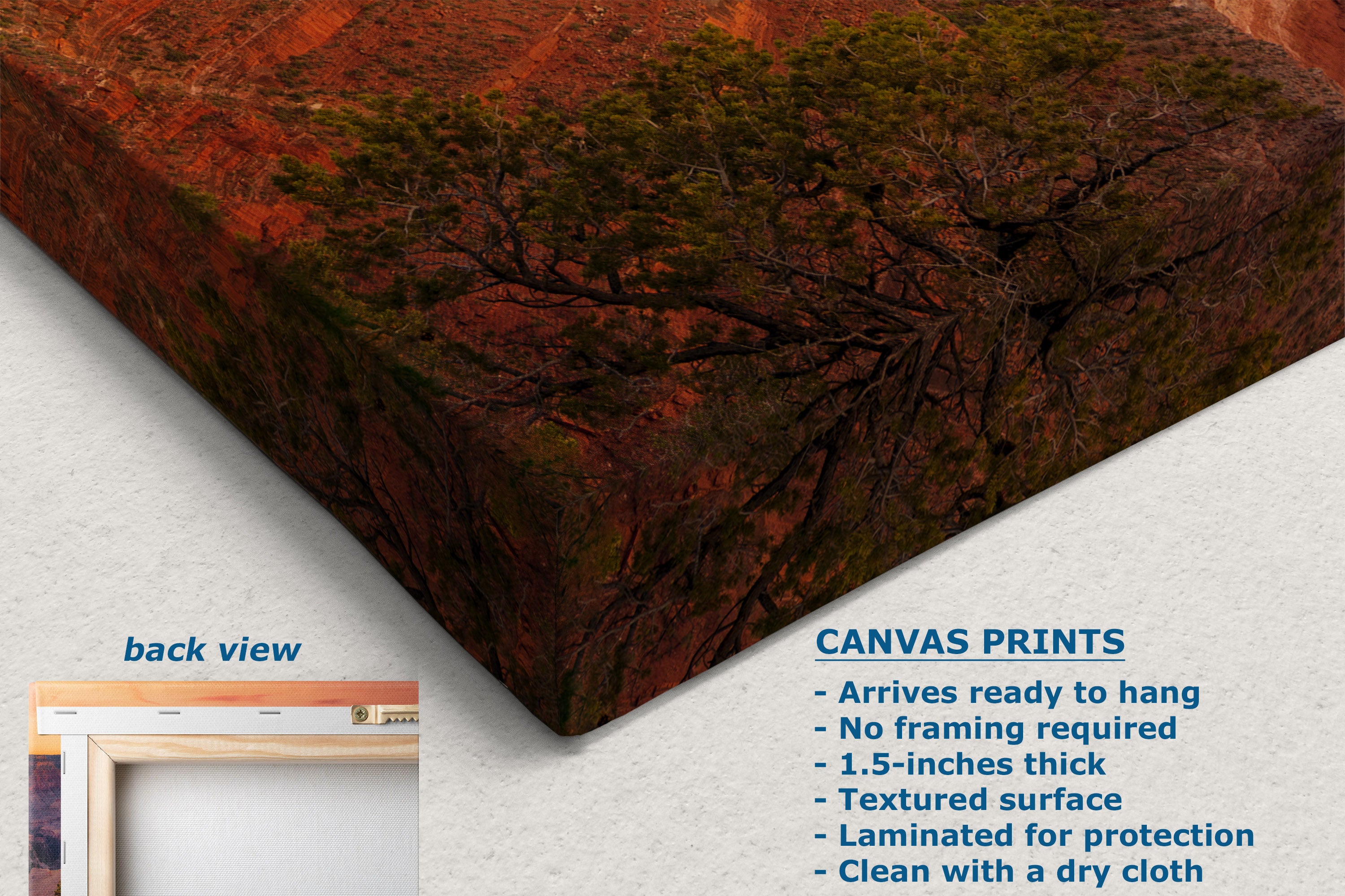 Canvas wall art print shown at an angle on a light wall, featuring a desert landscape with reddish-brown rock formations and dark tree branches. Text on the image includes 'back view' and product details for canvas prints.