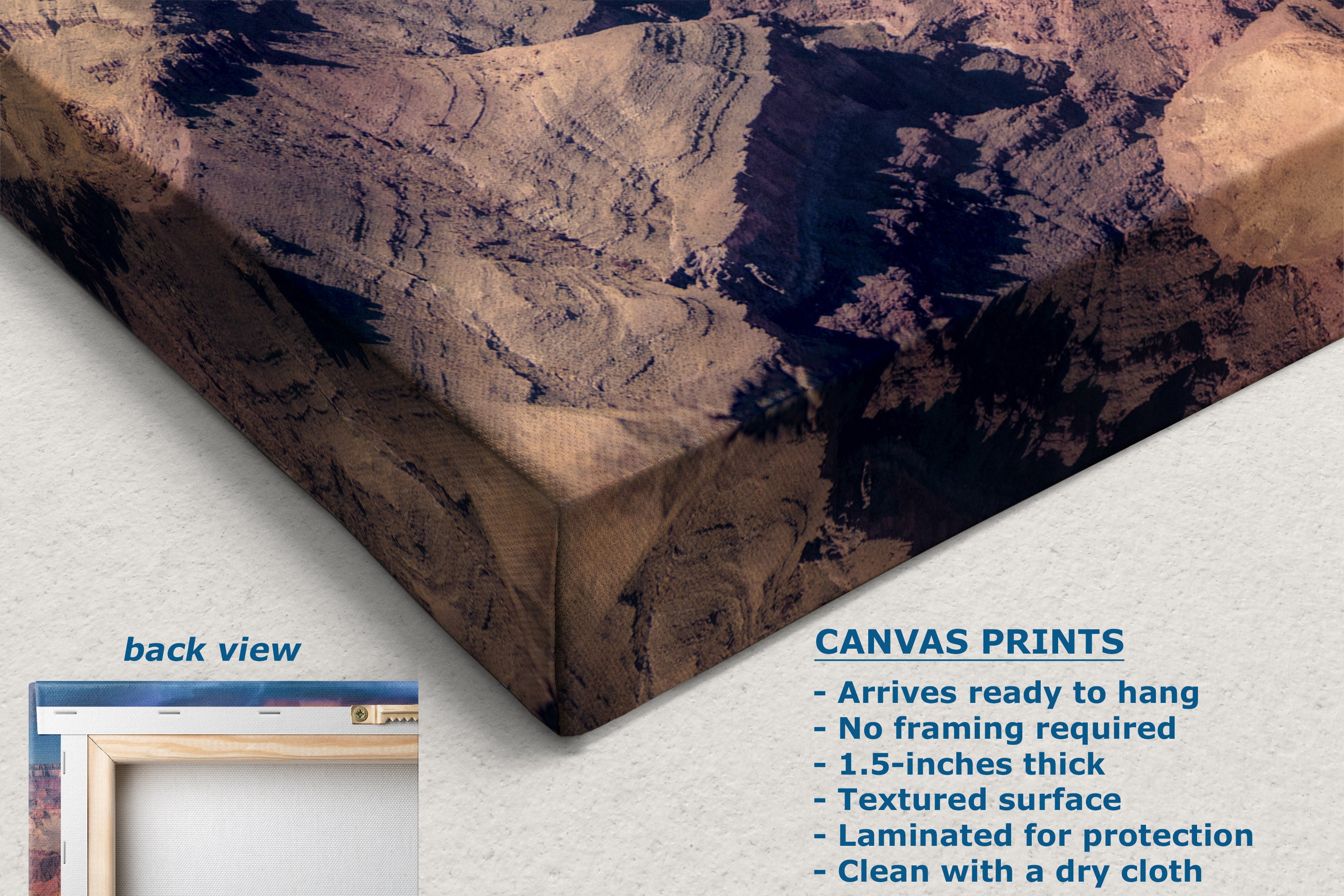 Canvas wall art print showing a canyon landscape, with text listing product features and a small inset labeled back view on a light neutral background.