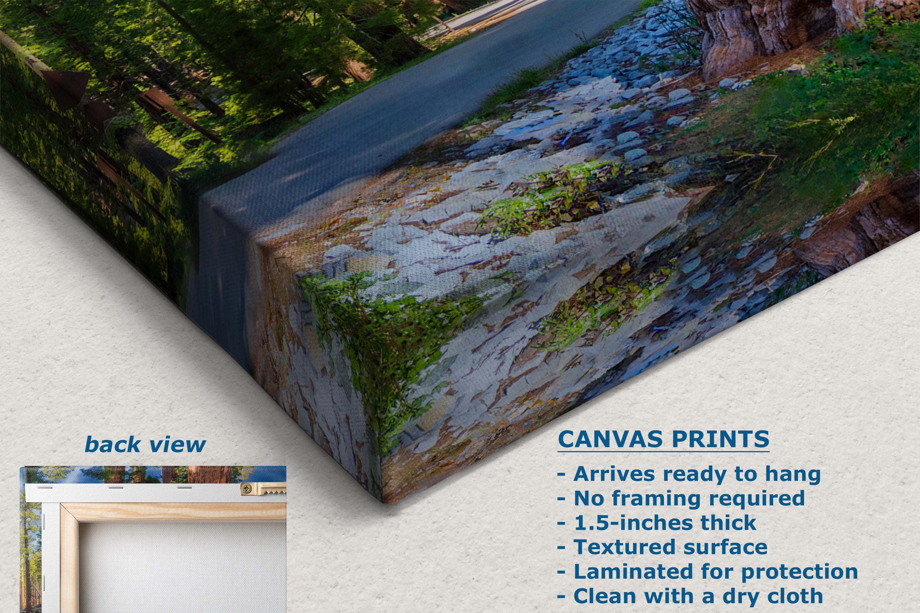 A canvas print product mockup showing a forest and rocky road scene, with text listing features such as textured surface, 1.5-inch thickness, and ready-to-hang presentation.