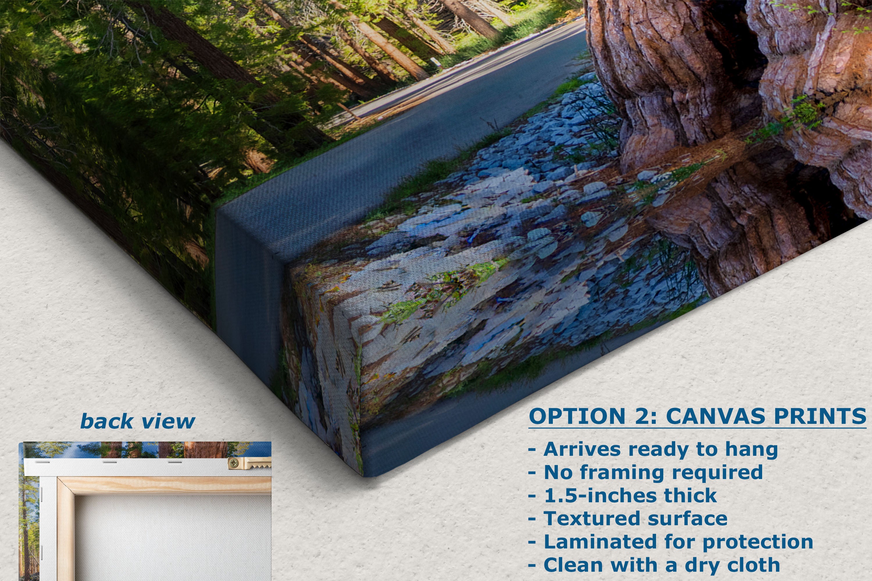 Canvas wall art print showing a forest stream and large tree trunk, displayed at an angle with a small inset showing the back view and text listing product features on a light background.