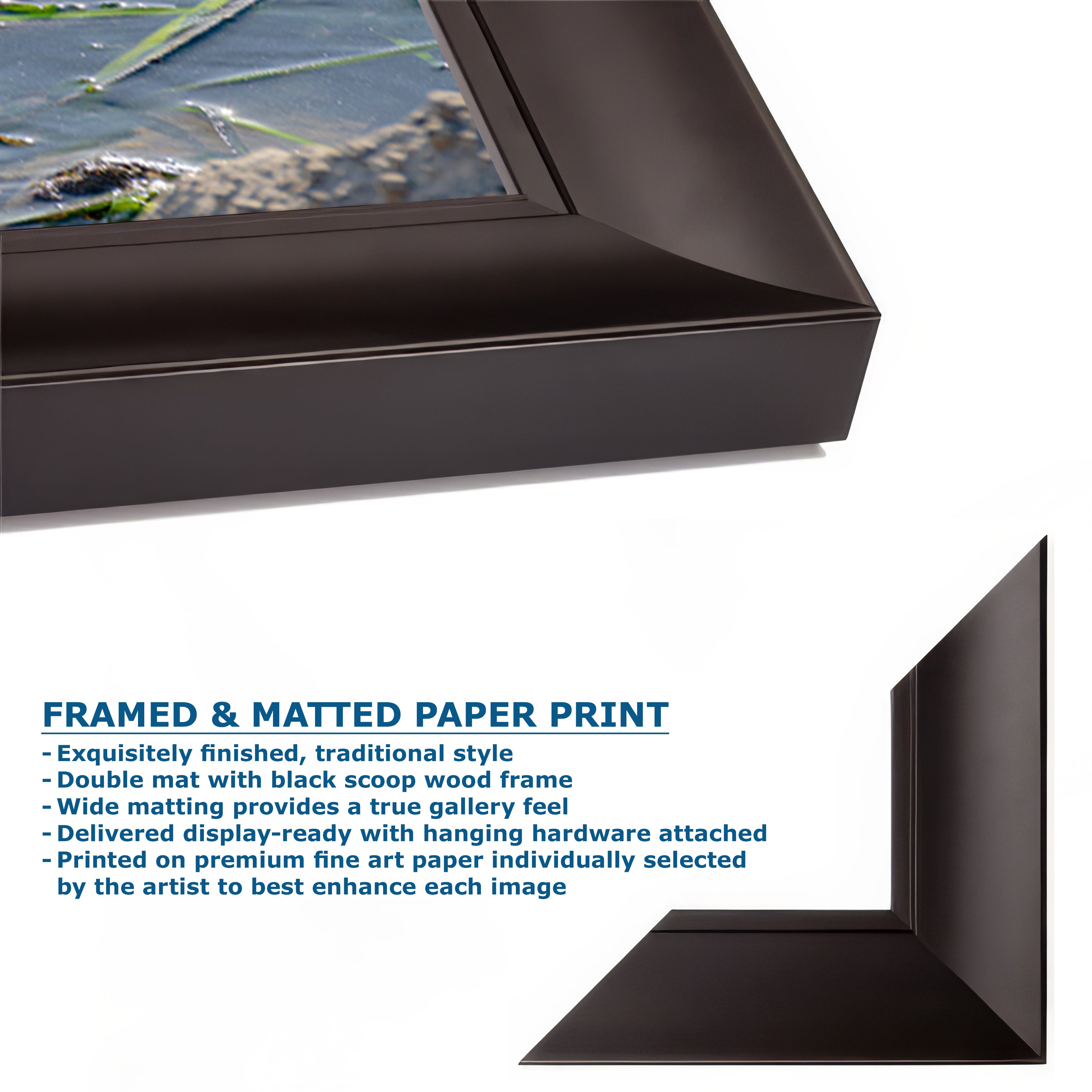 Great Blue Heron Art Wildlife Photography, Nature Wall Decor for Bird Lovers, Ocean Conservation, Relaxing Office or Room Artwork