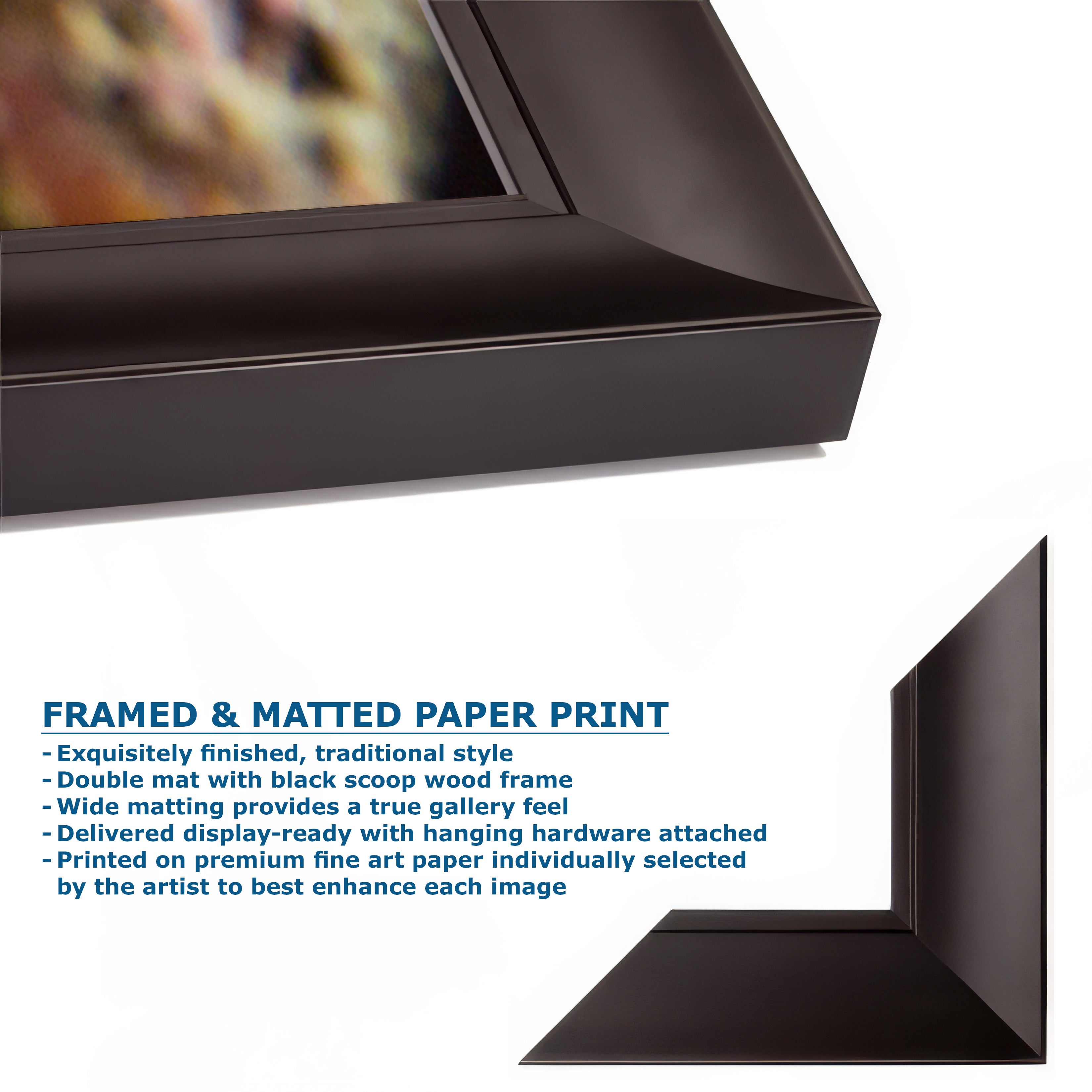 Sea Anemone Picture Ocean Life Underwater Scenery Nature Photo, Marine Biology Coral Reef Art, Vibrant Marine Wildlife Wall Decor