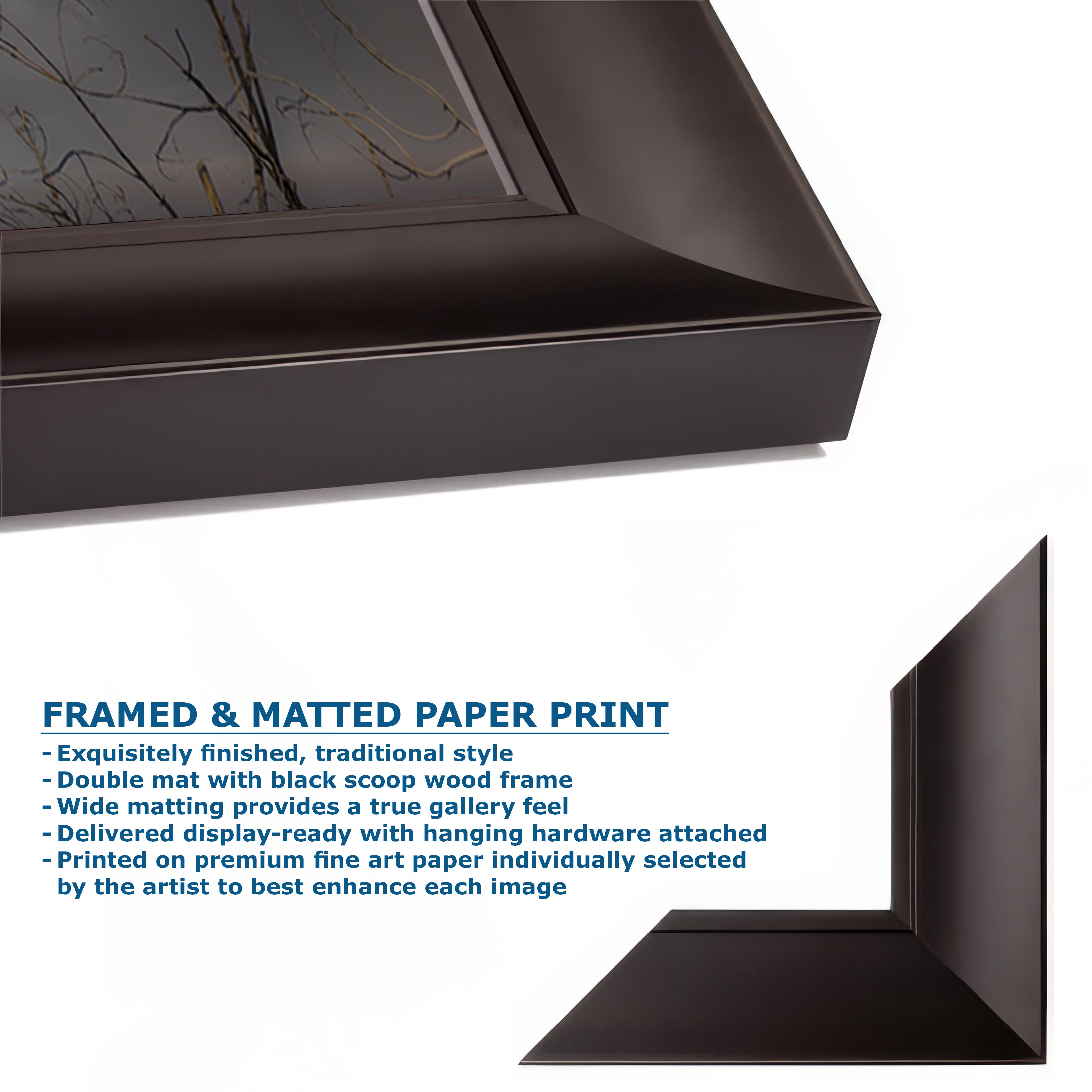 Soaring Bald Eagle Picture Wildlife Photography Wall Art, Nature Photo, Bird Photography, Rustic Cabin Decor, Office or Dorm Room Wall Decor