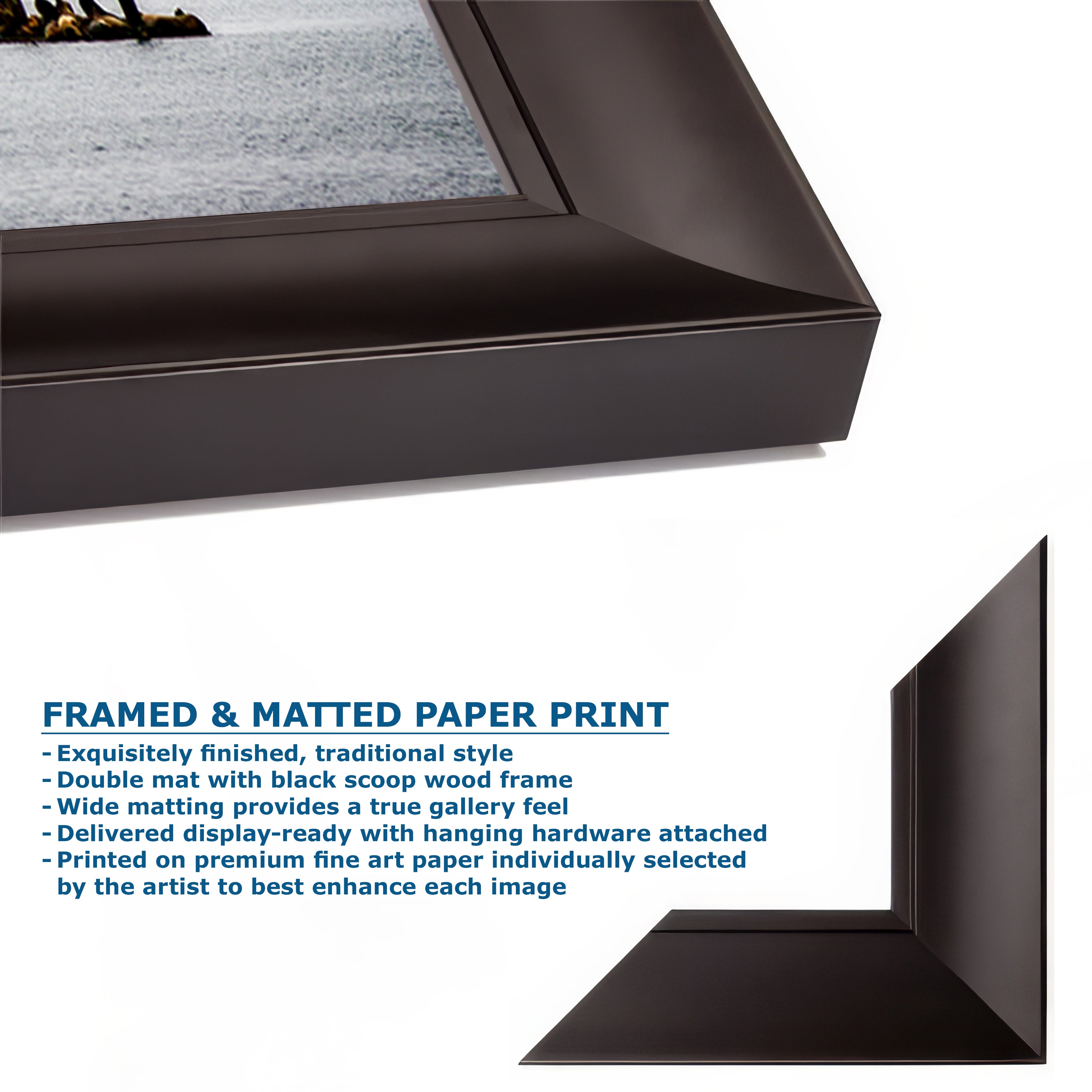 California Coastline Limited Edition Fine Art Print – Morro Bay Ocean Picture Nature Photo