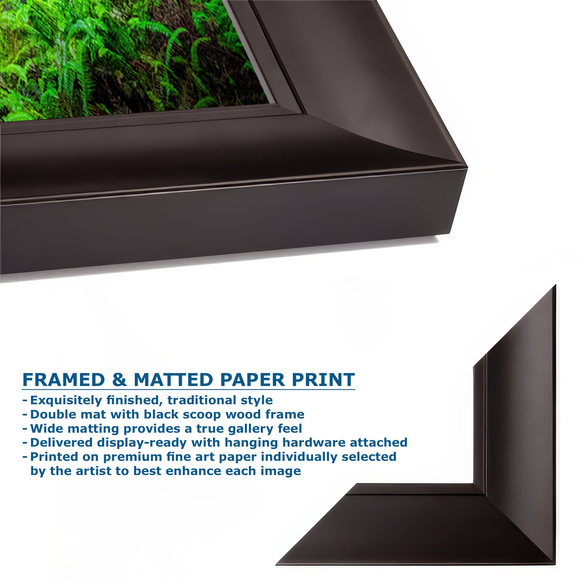 Redwood Trees Forest Picture Nature Photo, Forest Bathing in Misty California Redwoods Wall Art, for Relaxation in the Home and Office