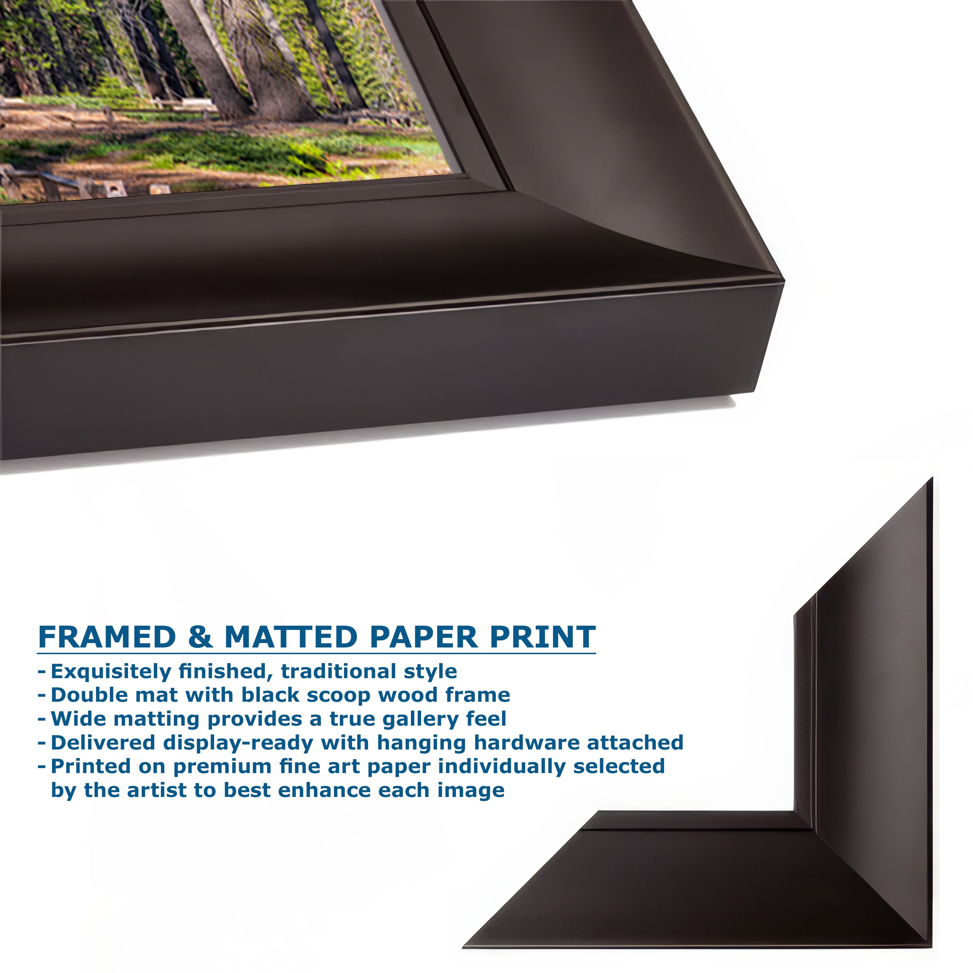 Giant Sequoia Tree Forest Picture Nature Photo, Yosemite Redwood Trees, Forest Bathing for Nature Lovers, House and Office