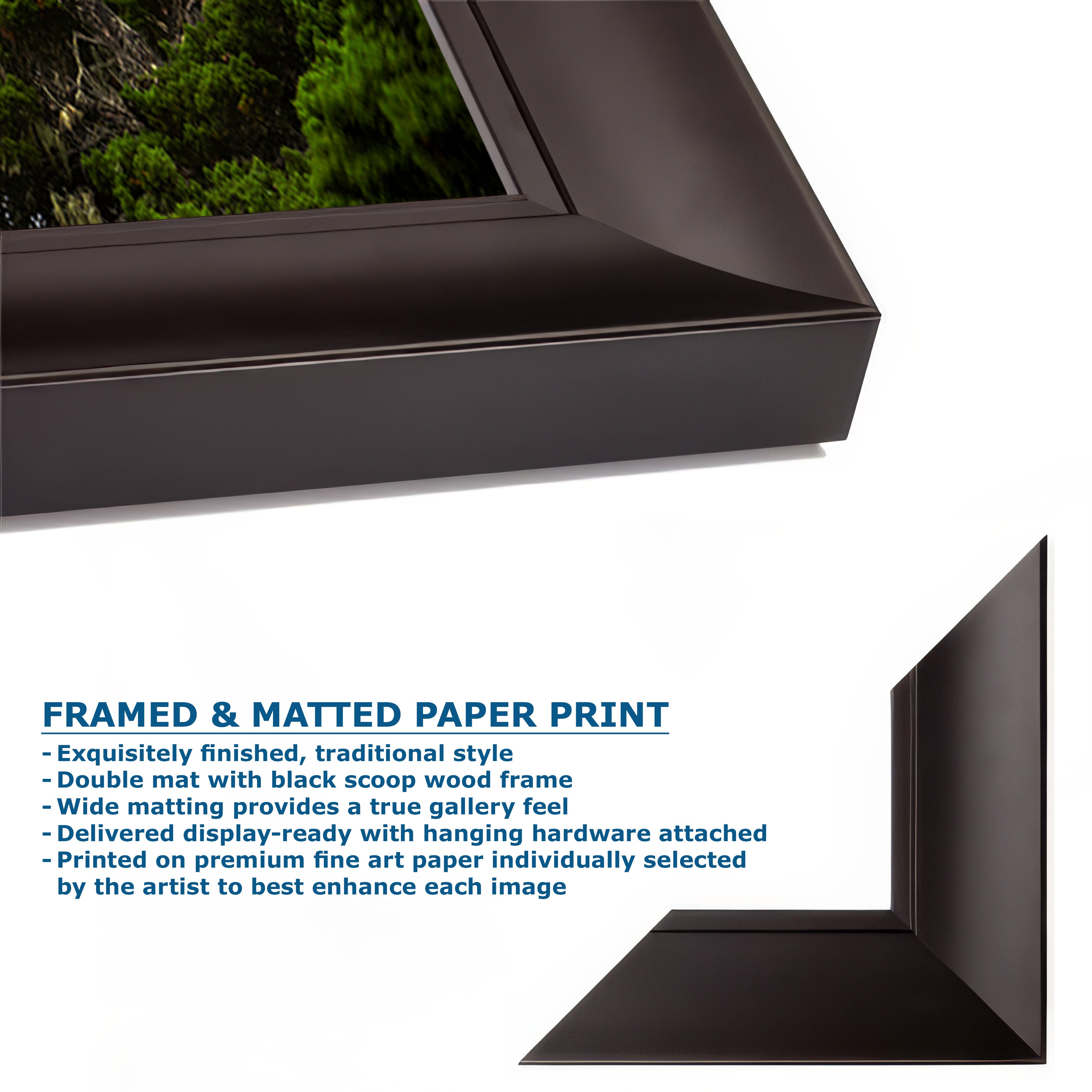 California Coastline Limited Edition Fine Art Print – Lone Cypress Ocean Picture Nature Photo