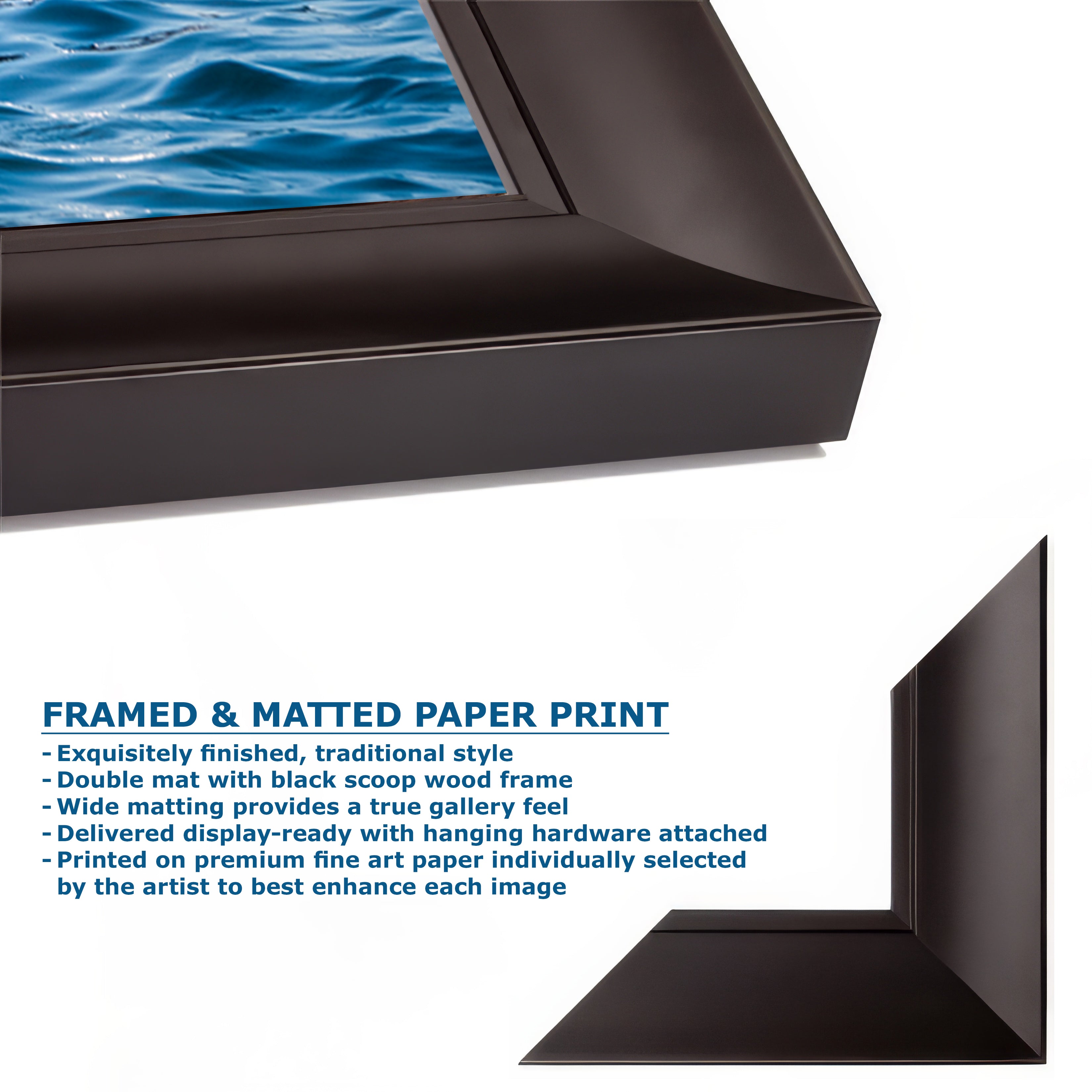 Wildlife Photography Ocean Picture of Orca (Killer Whale) Family Limited Edition Fine Art Print